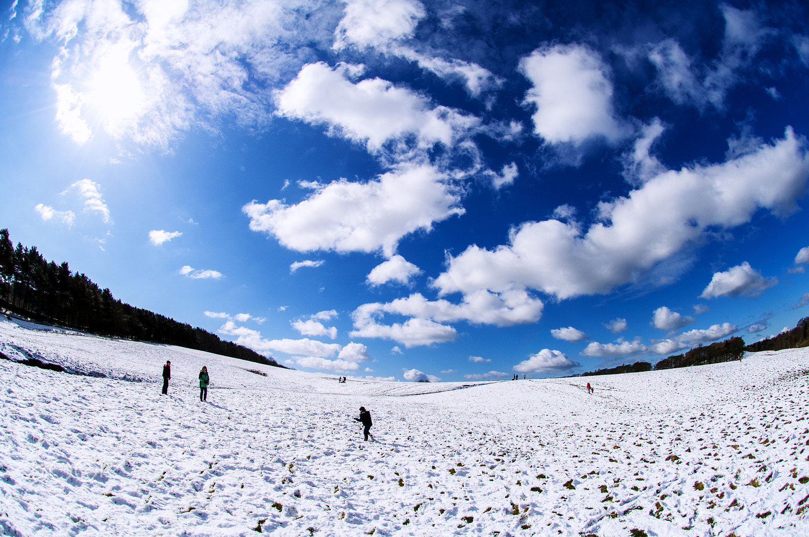 Nikon D2X sample photo. Snow in spring ii photography