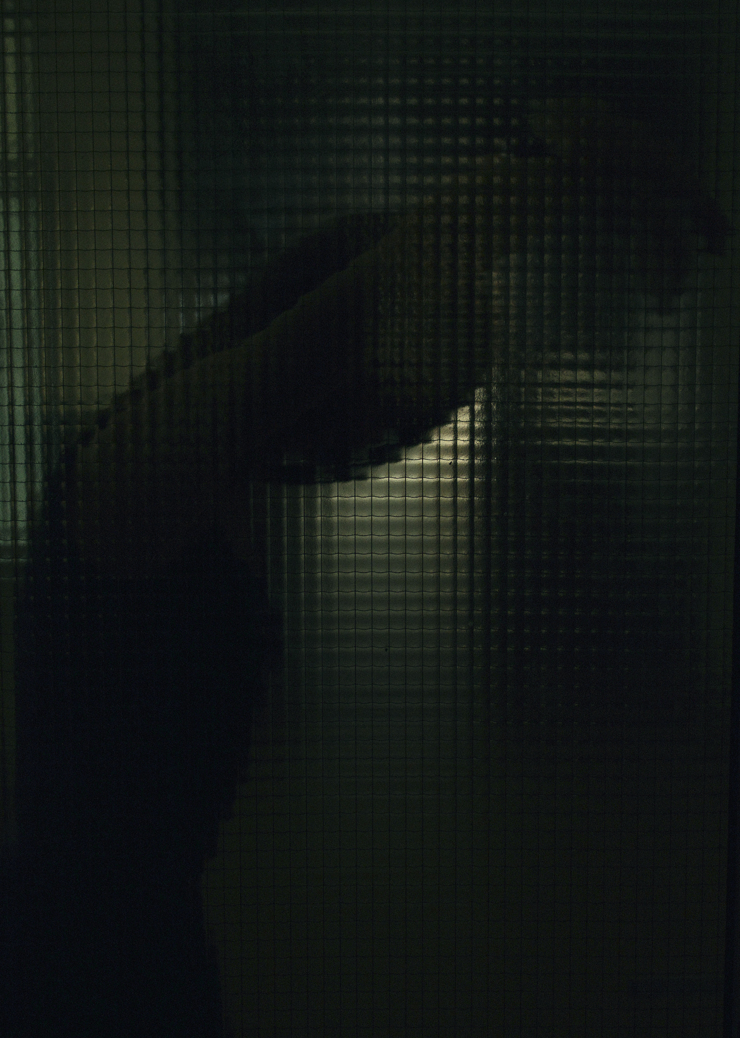 Nikon D3200 + AF DC-Nikkor 135mm f/2D sample photo. Alien in your house photography