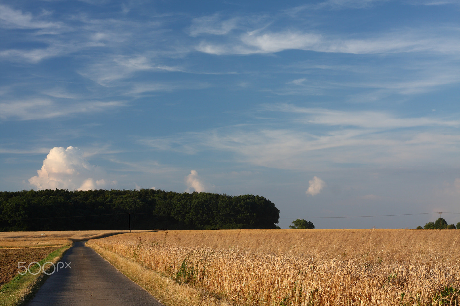 Canon EOS 40D + Canon EF 50mm F1.8 II sample photo. Country line photography