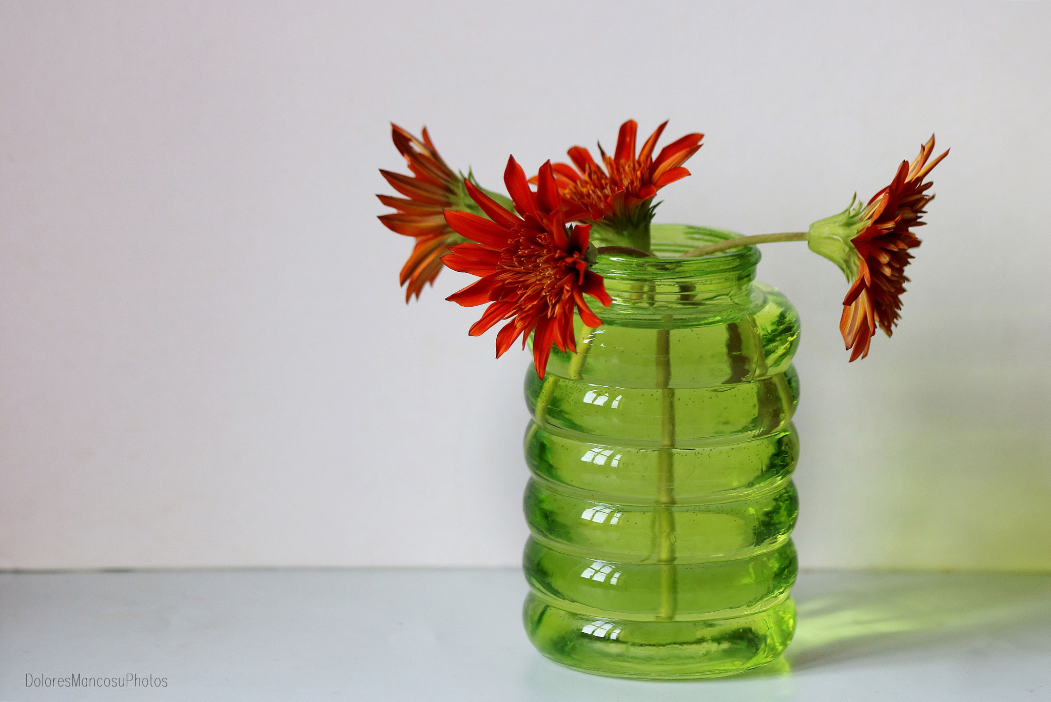 Canon EF 70-300mm F4-5.6 IS USM sample photo. Glass photography