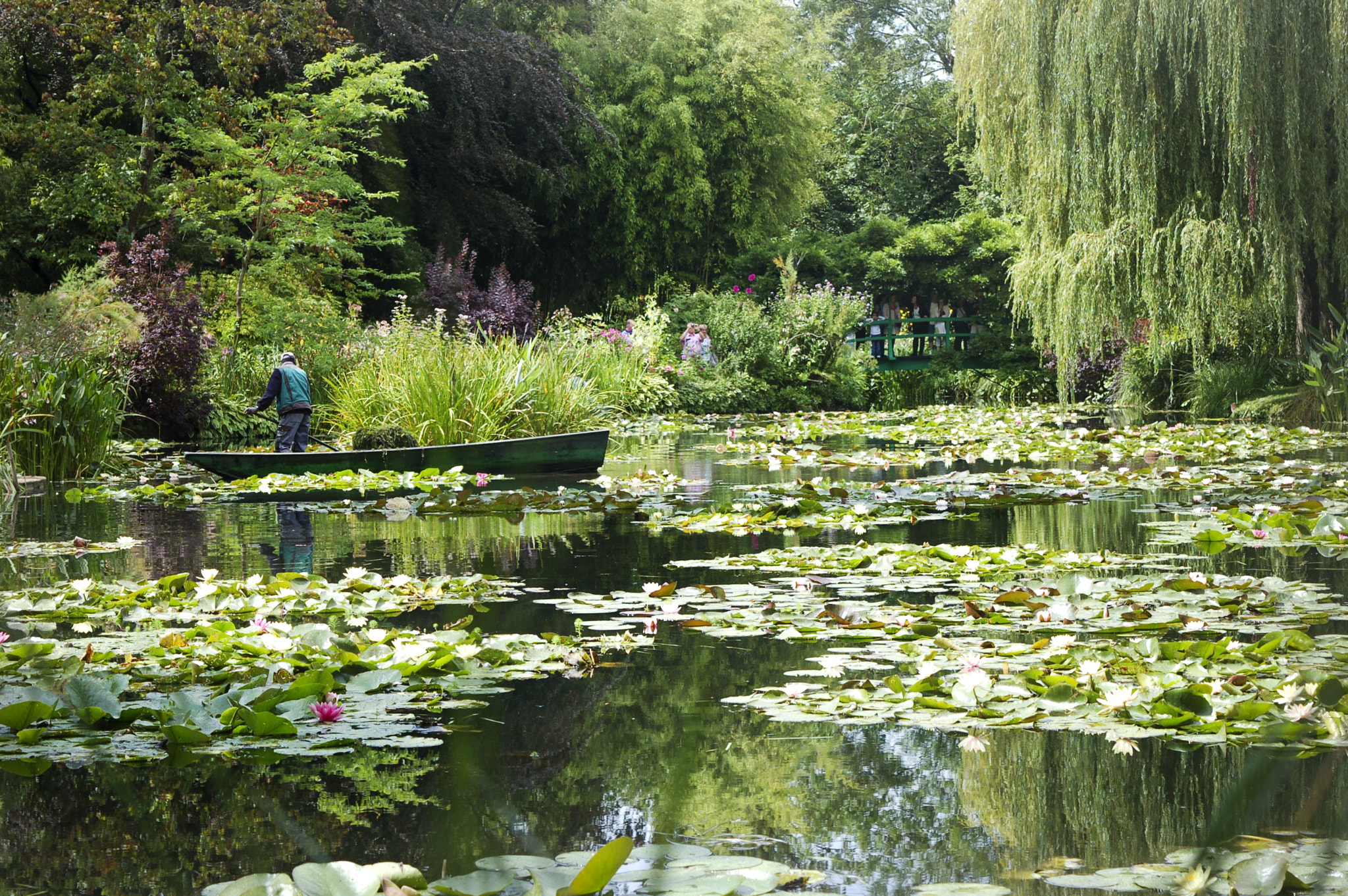 Nikon D50 sample photo. Giverny gardens: "les nynphéas" photography