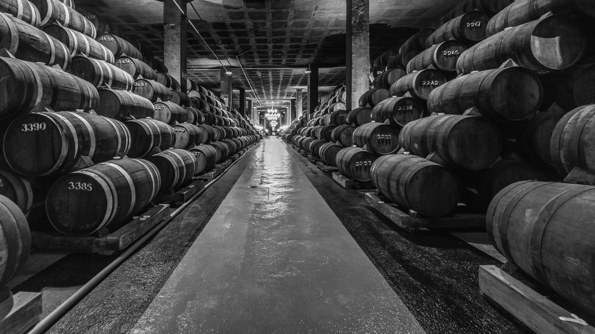 Sigma 12-24mm F4.5-5.6 EX DG Aspherical HSM sample photo. Numbers photography
