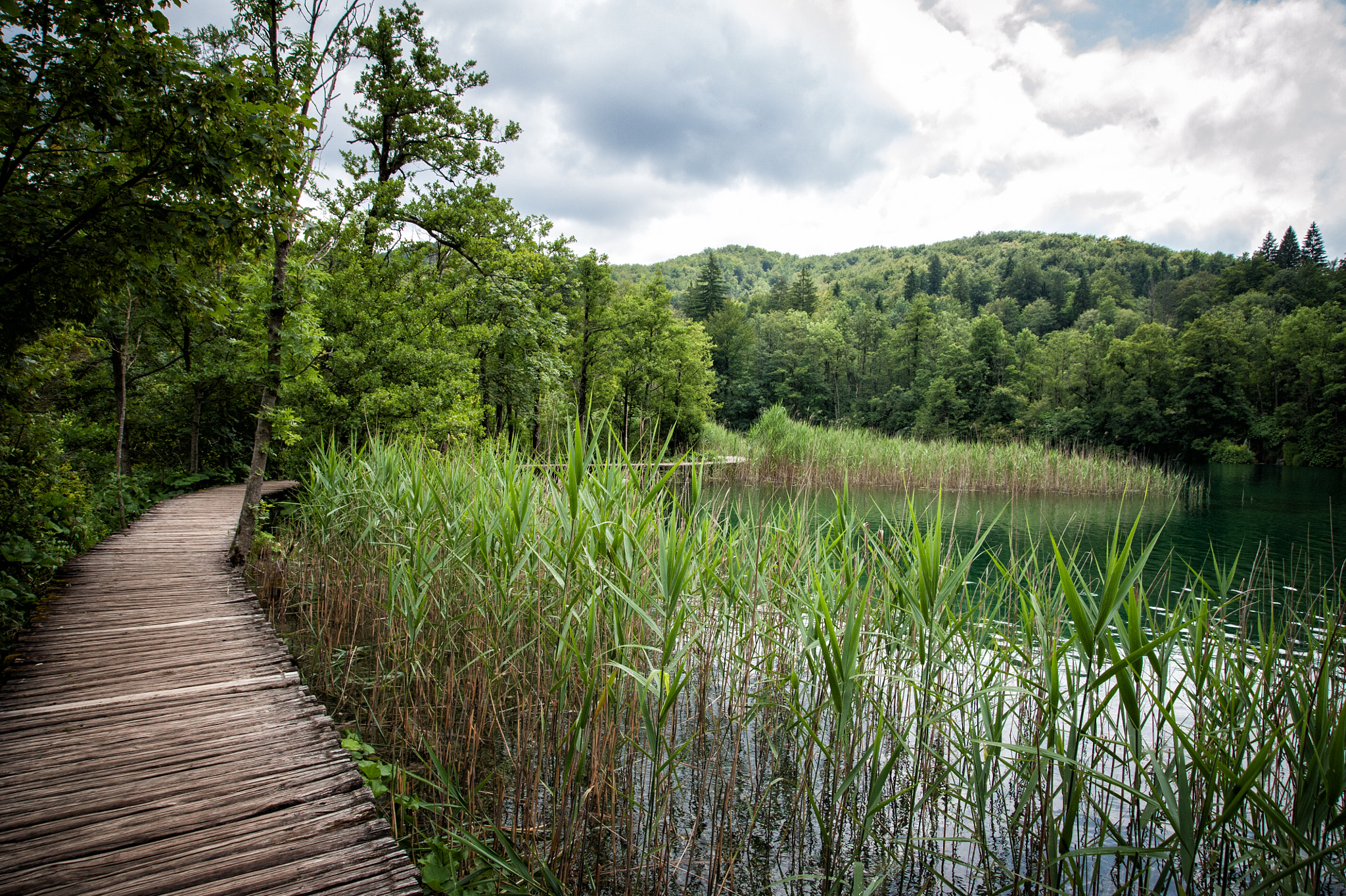 Nikon D700 + Sigma 24-105mm F4 DG OS HSM Art sample photo. National park plitvice lakes. photography