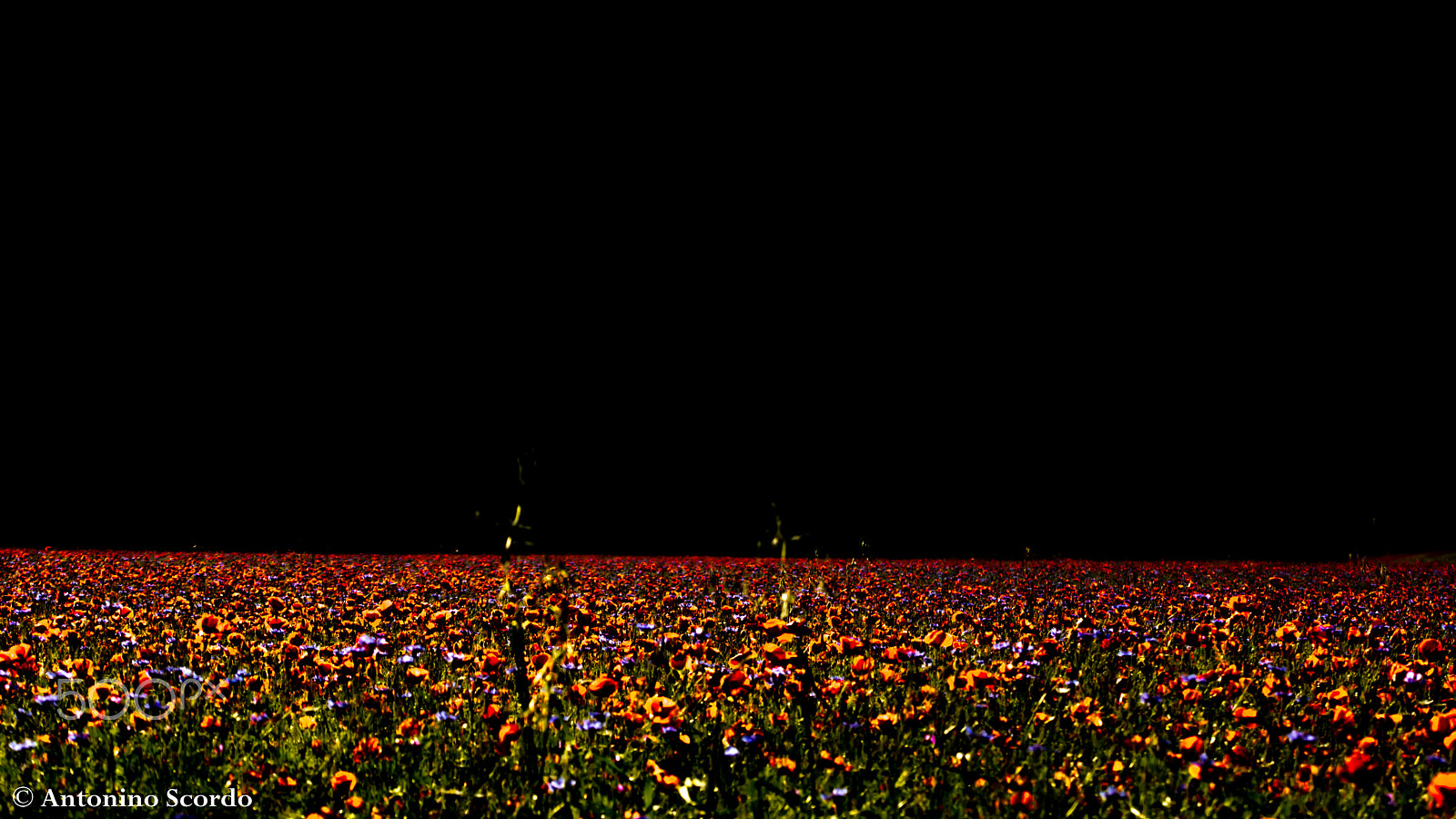 Tamron SP 35mm F1.8 Di VC USD sample photo. Castelluccio di norcia 2016 photography