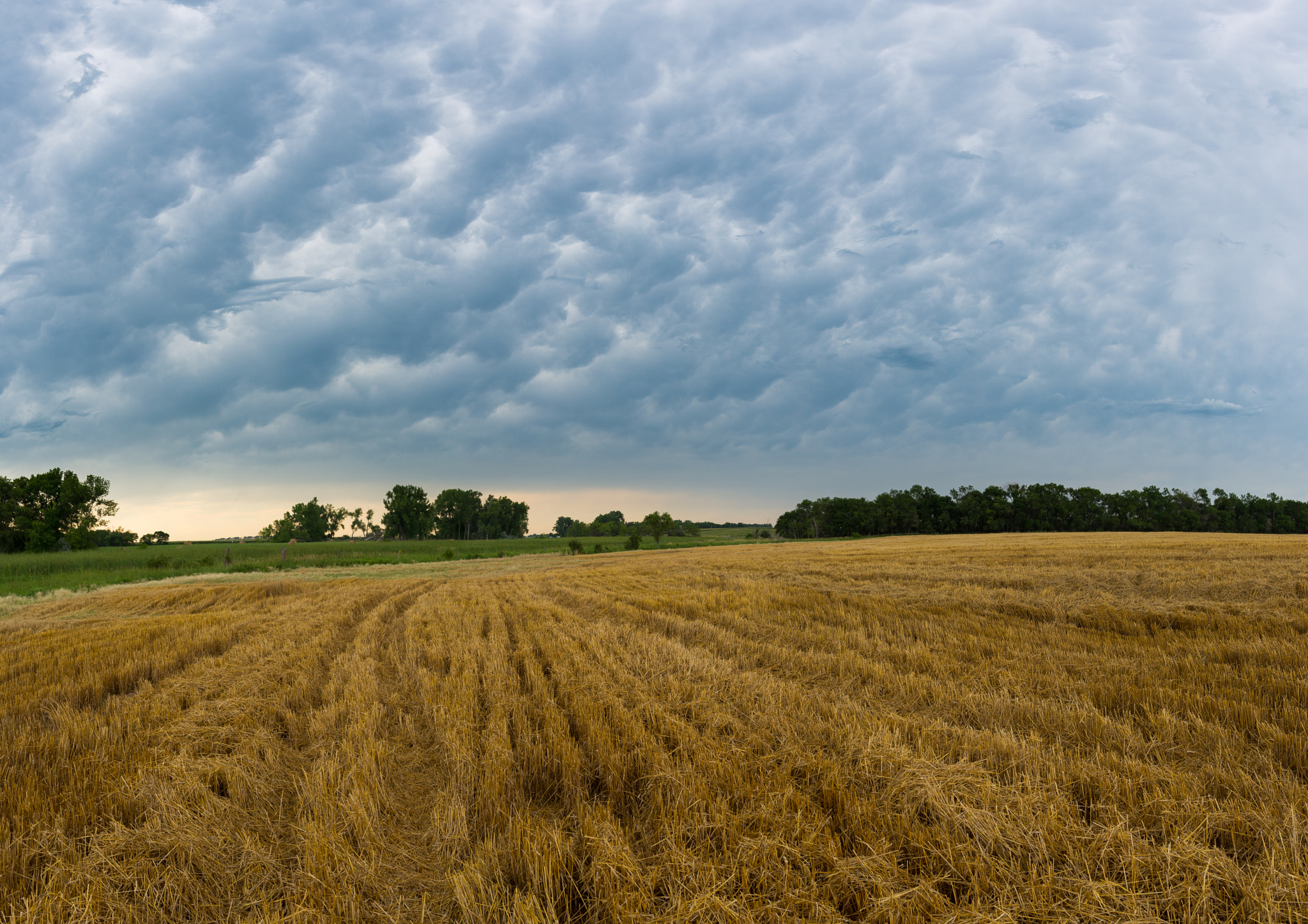 Nikon D600 + Nikon AF-S Nikkor 20mm F1.8G ED sample photo. Clouds over wheat stubble photography