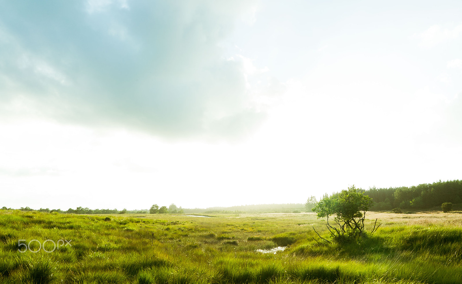Sony FE 28mm F2 sample photo. So quiet and peaceful here photography