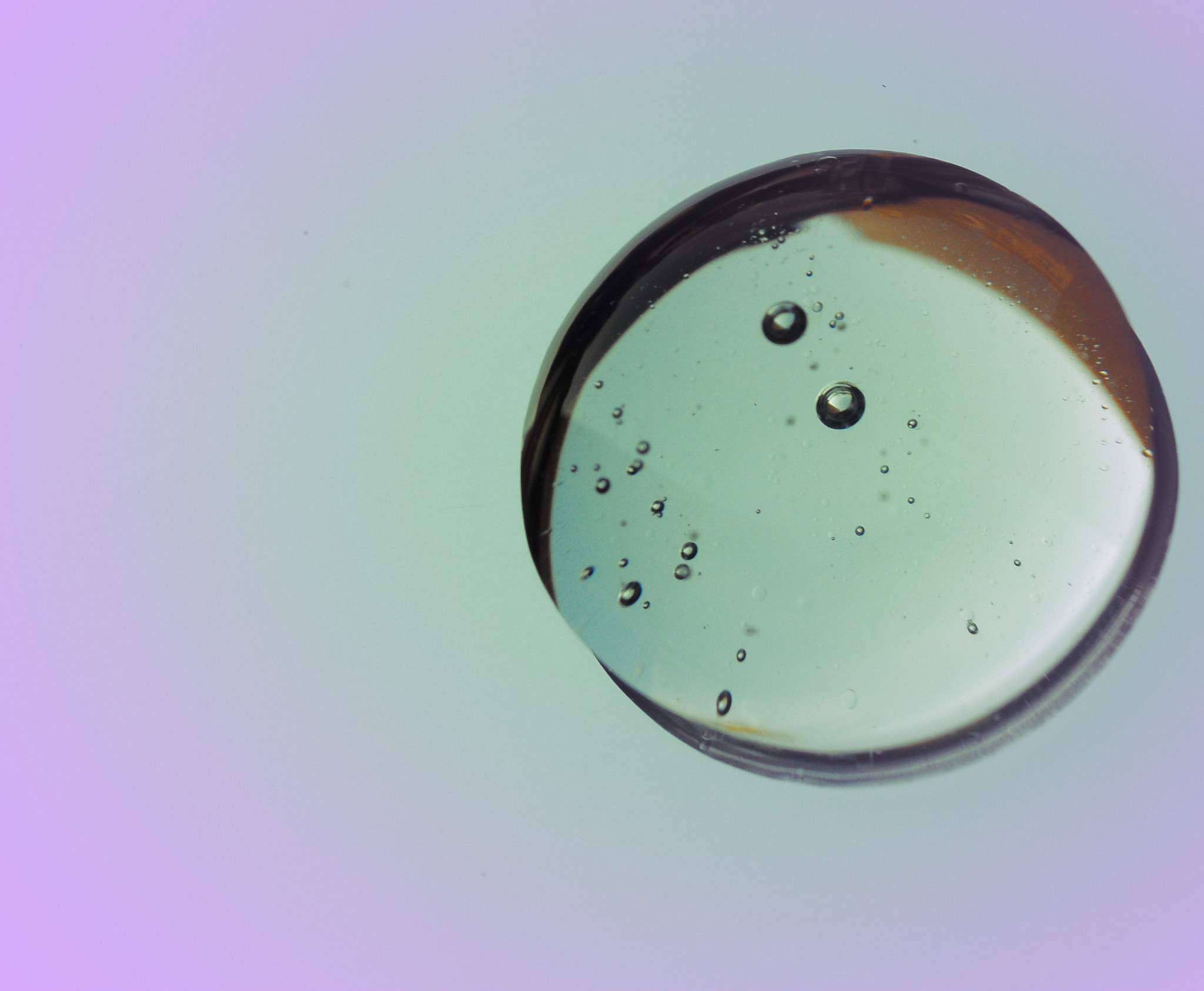 Nikon AF-S Micro-Nikkor 60mm F2.8G ED sample photo. Blob photography