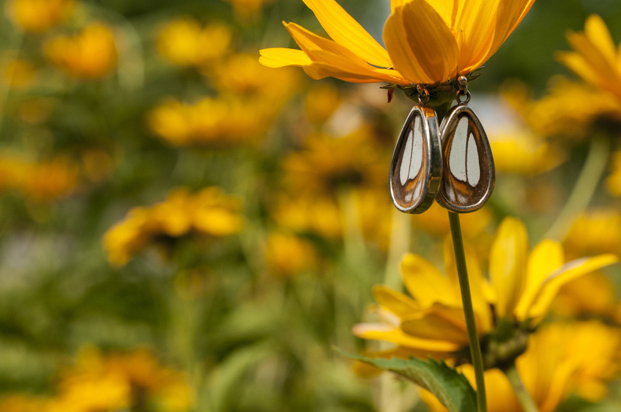 Nikon D300S sample photo. These earrings are made from wings of butterflies  ... photography