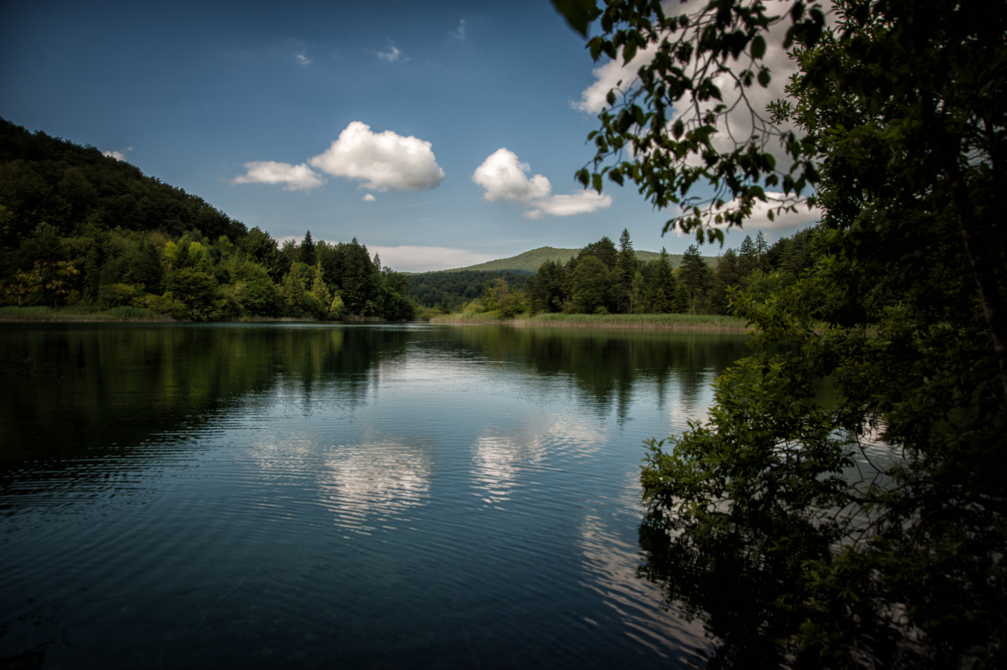 Nikon D700 + Sigma 24-105mm F4 DG OS HSM Art sample photo. National park plitvice lakes photography