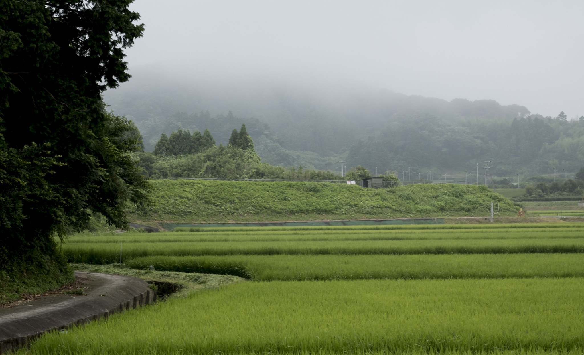 Panasonic Lumix DMC-GM5 sample photo. Morning photography