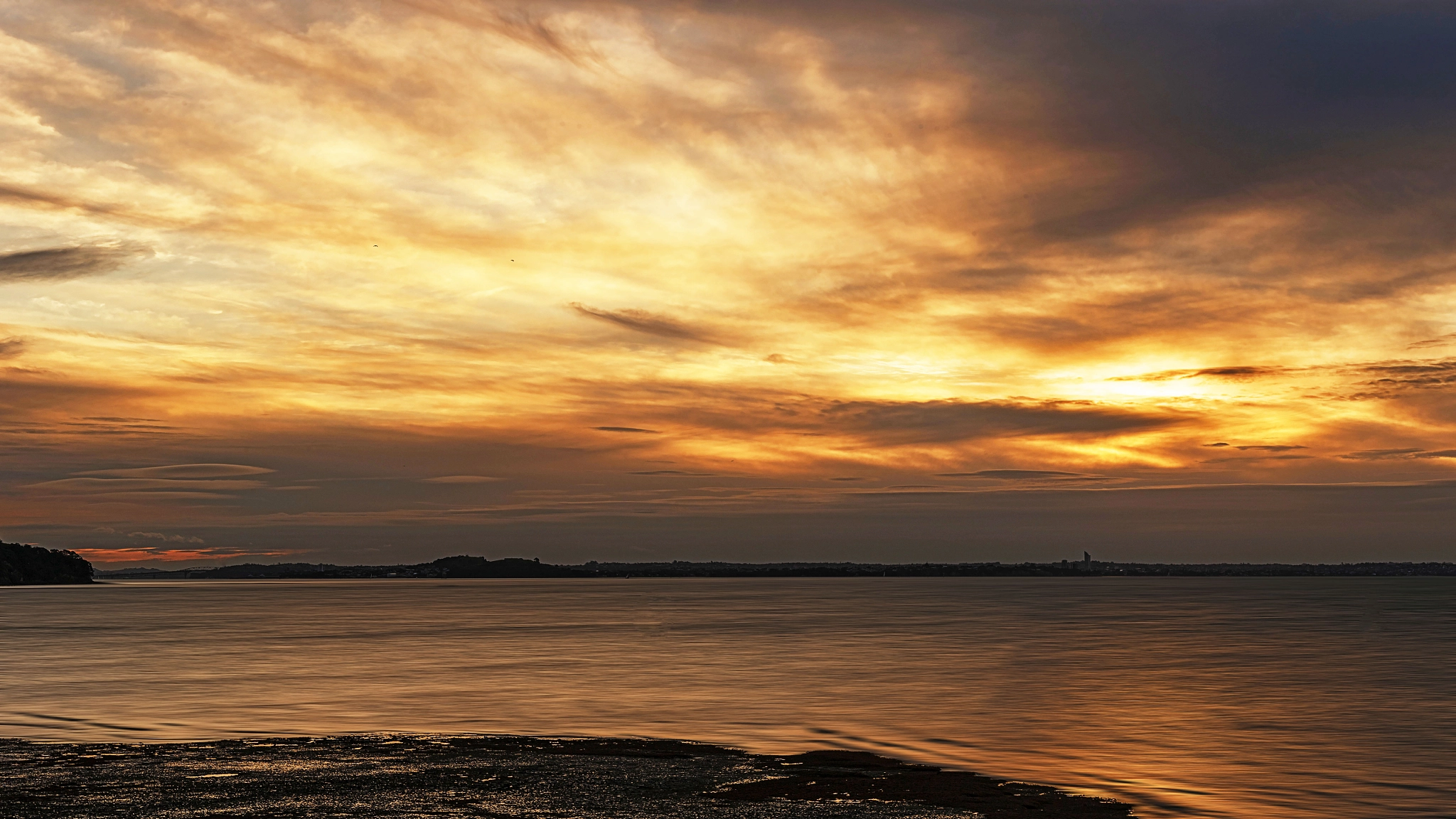Canon EOS-1Ds Mark III sample photo. Musick point, auckland photography