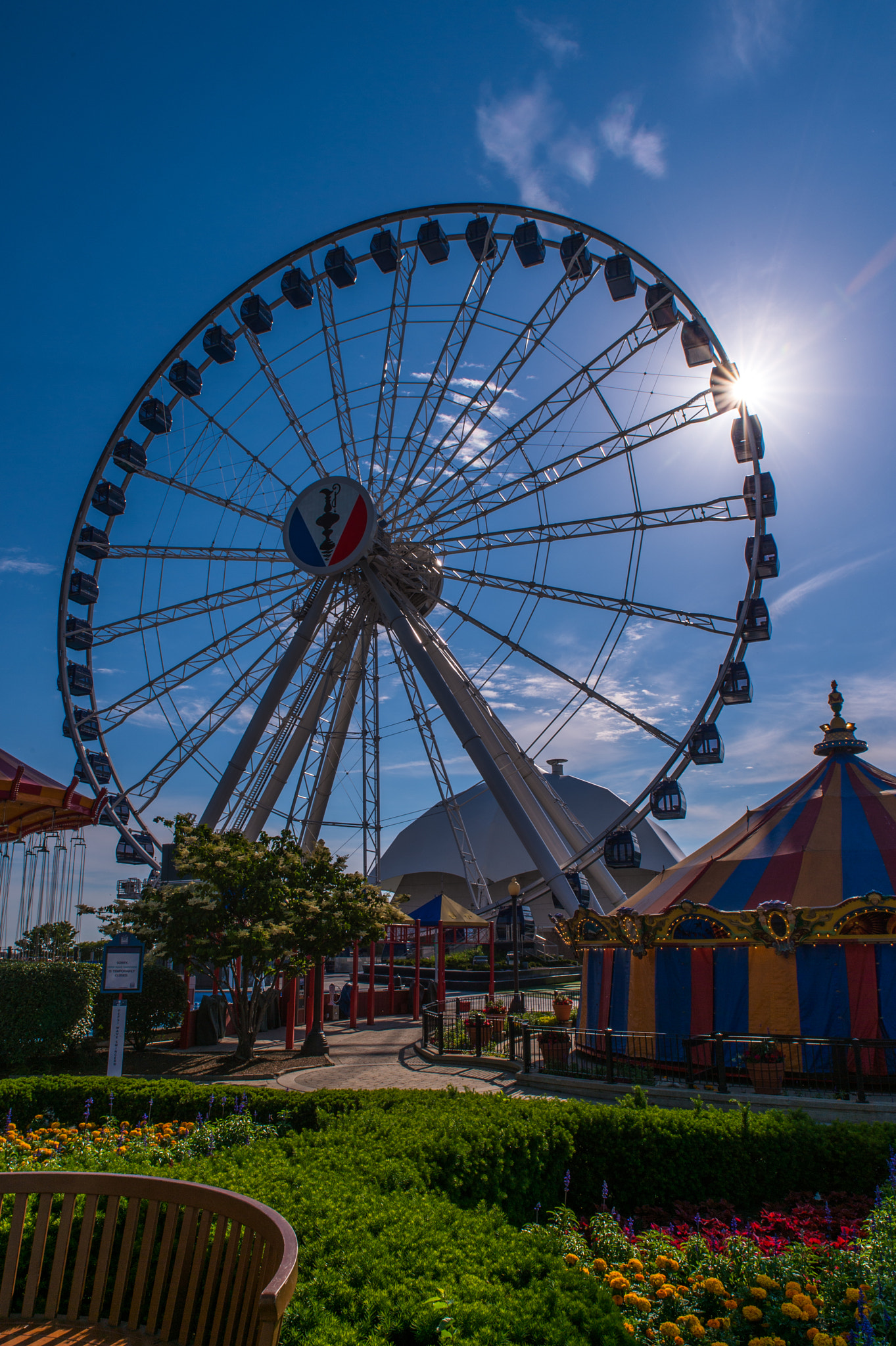 Nikon Df sample photo. Ferris wheel at navy pier, chicago photography
