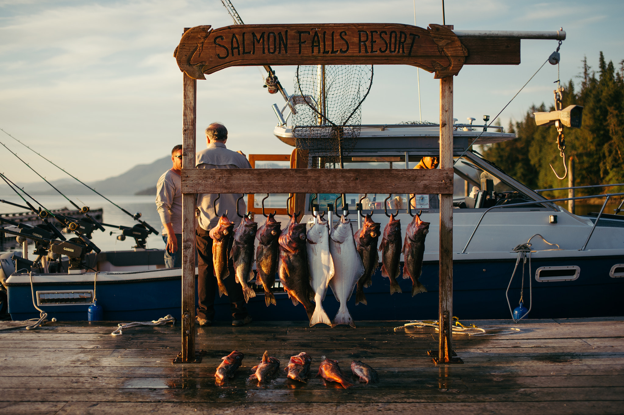 Nikon D4S + Sigma 50mm F1.4 EX DG HSM sample photo. Salmon falls photography