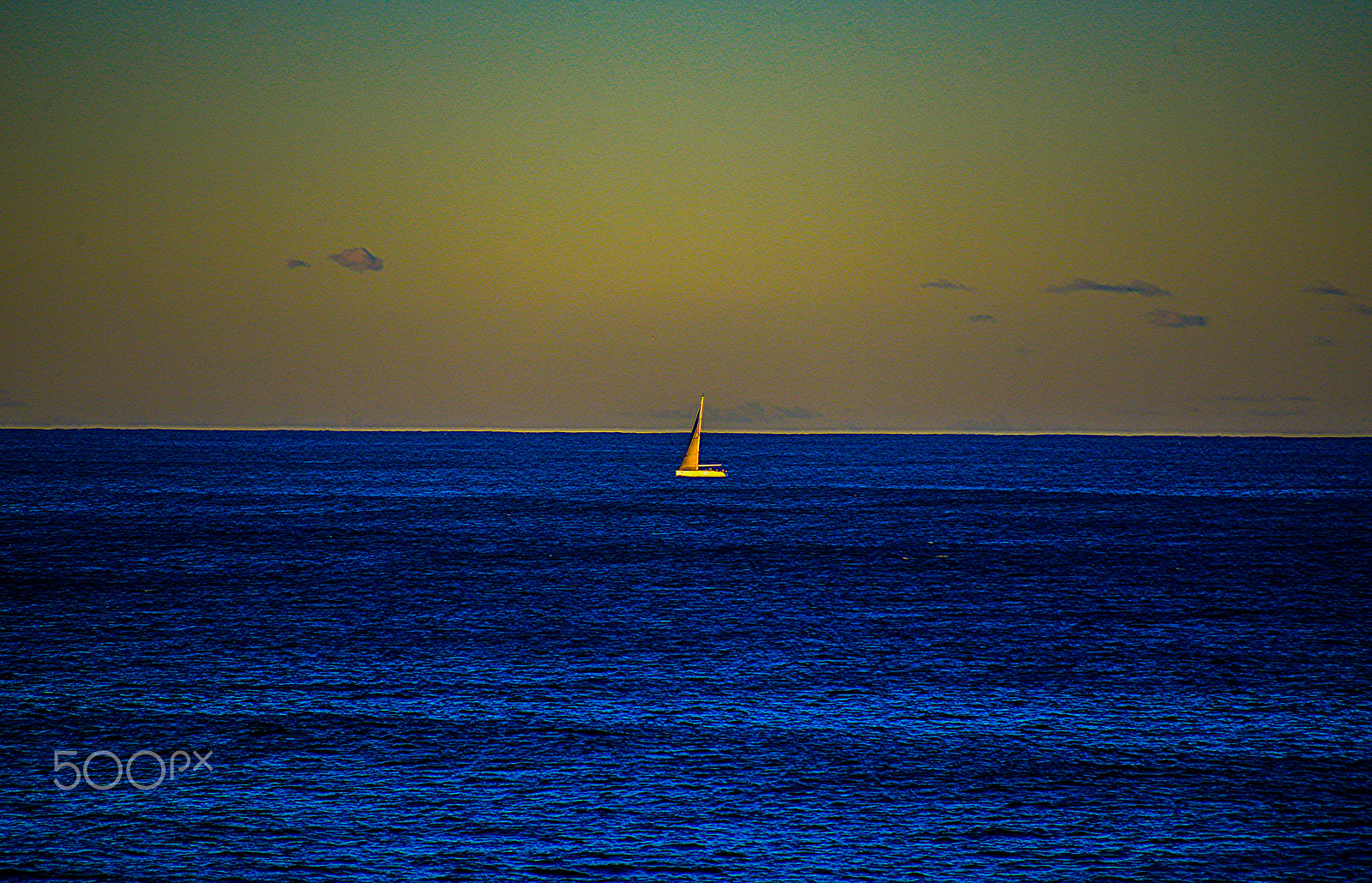 Nikon D600 sample photo. Who painted the sky orange? photography
