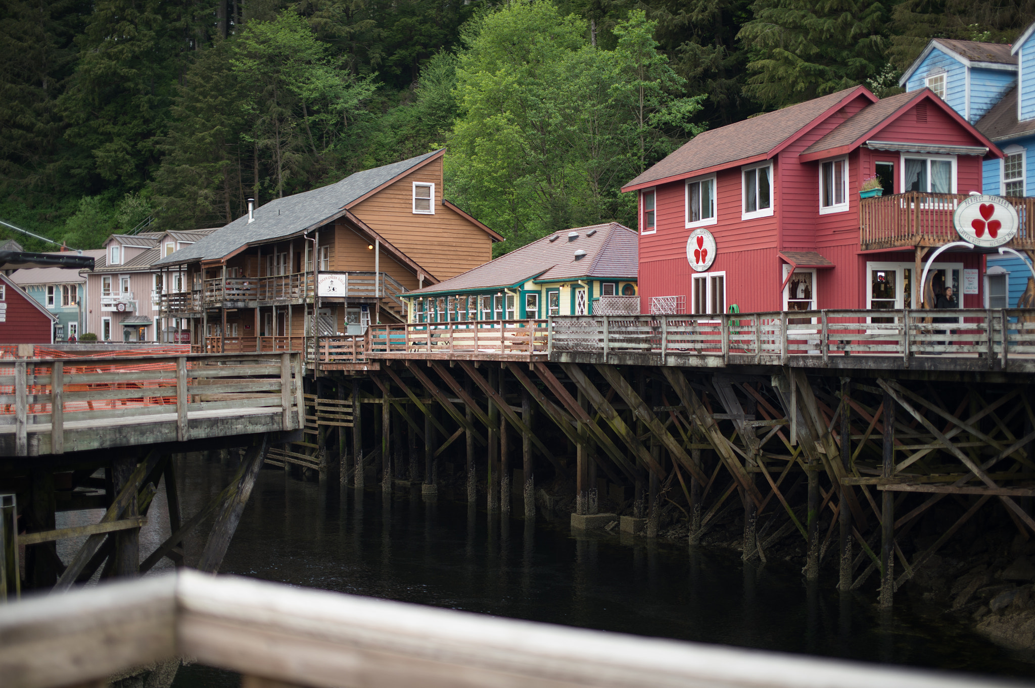 Nikon D4S + Sigma 50mm F1.4 EX DG HSM sample photo. Salmon falls photography