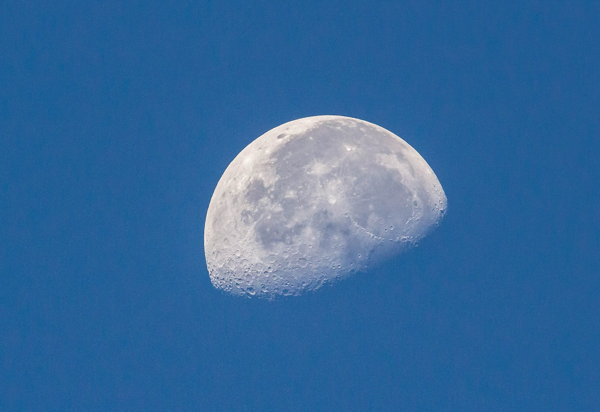 Tamron SP 150-600mm F5-6.3 Di VC USD sample photo. Edit photography