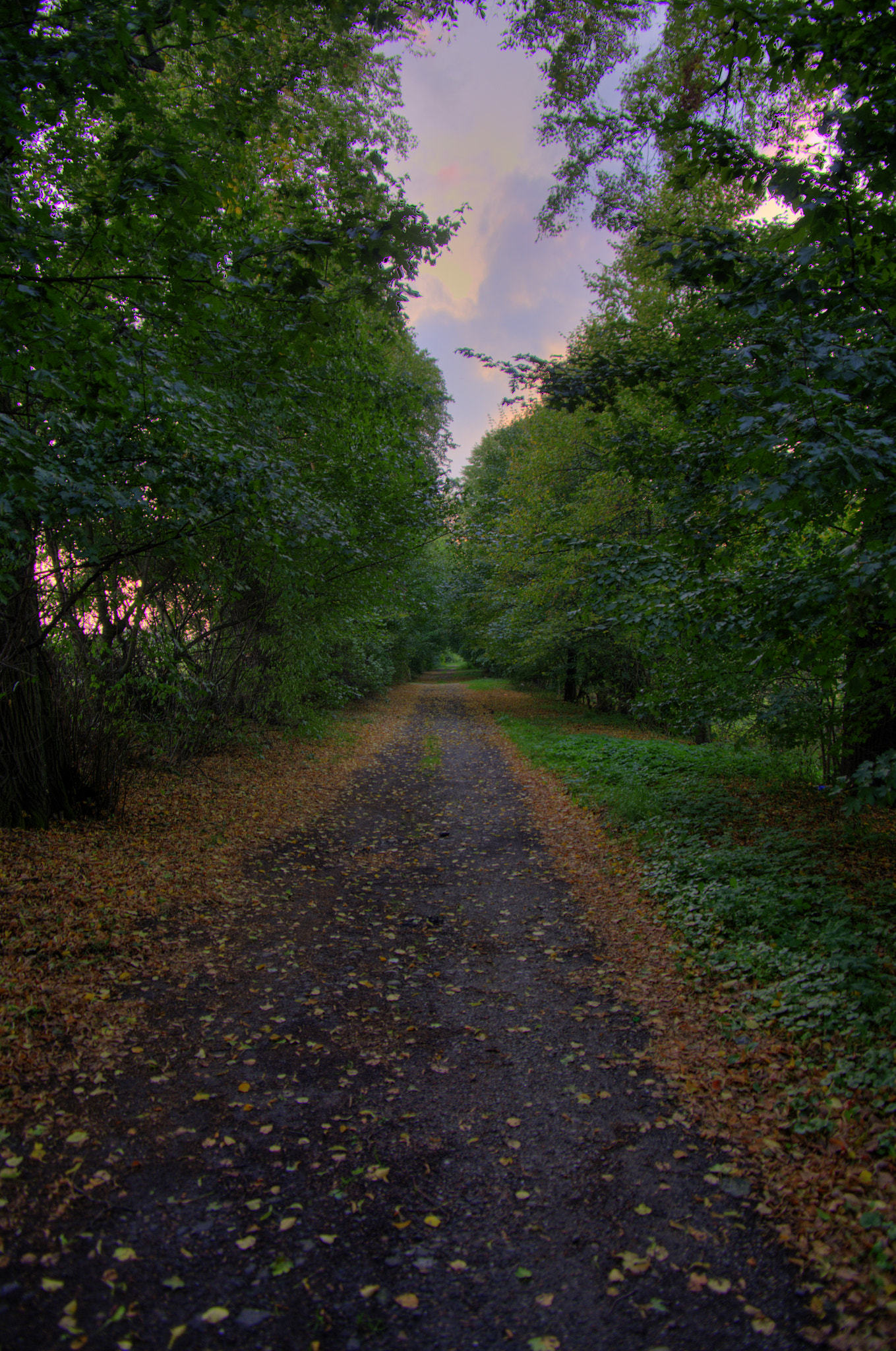 Pentax K-5 sample photo. Park photography