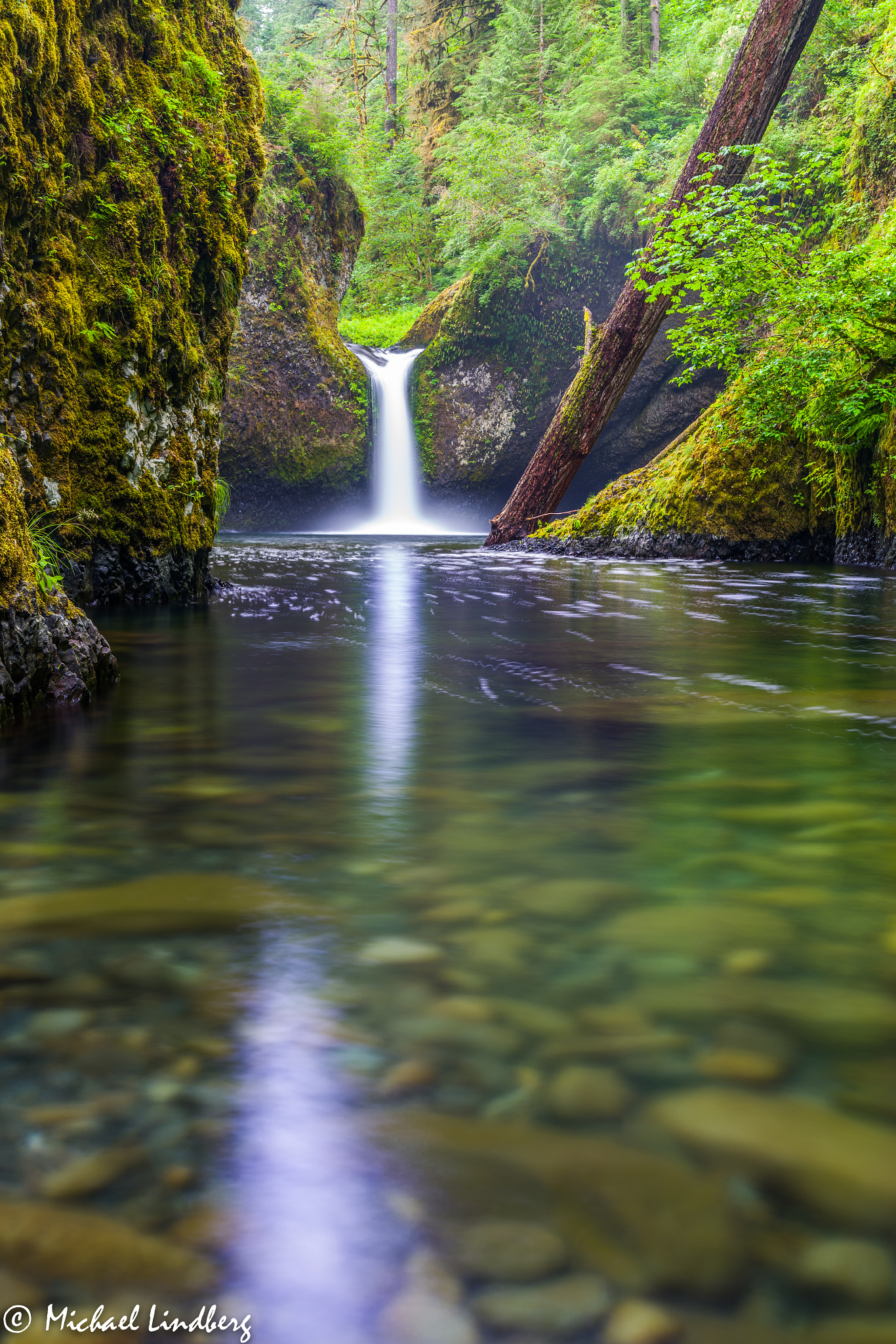 Tamron AF 28-75mm F2.8 XR Di LD Aspherical (IF) sample photo. Rivendell photography