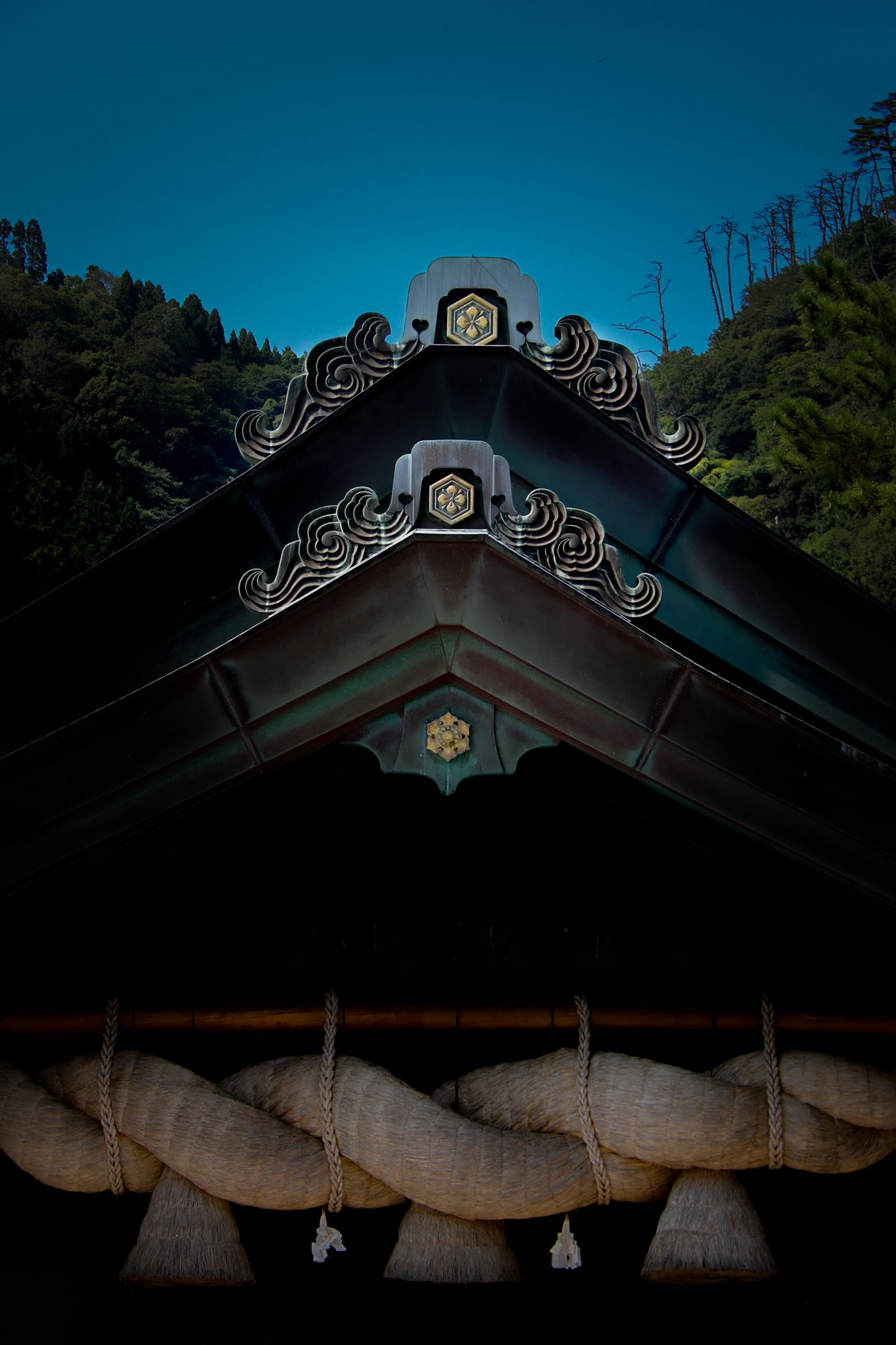 Canon EOS 760D (EOS Rebel T6s / EOS 8000D) sample photo