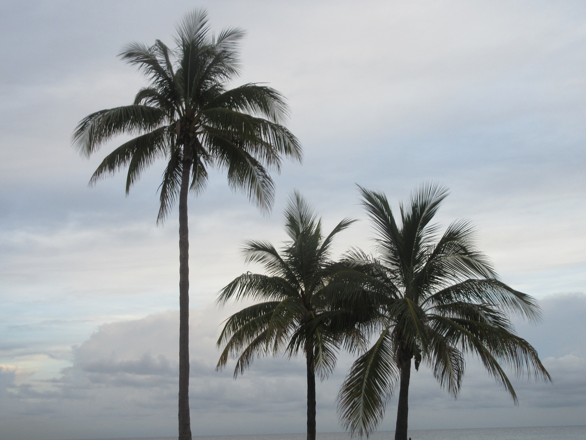 Canon PowerShot ELPH 340 HS (IXUS 265 HS / IXY 630) sample photo. Fort lauderdale 2016 photography