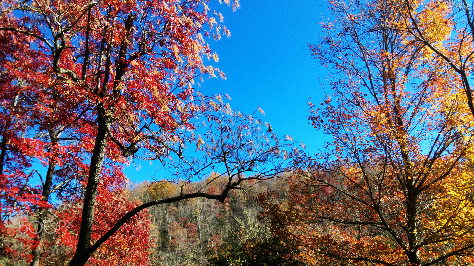 HTC ONE (M8 EYE) sample photo. Imag2736.jpg photography