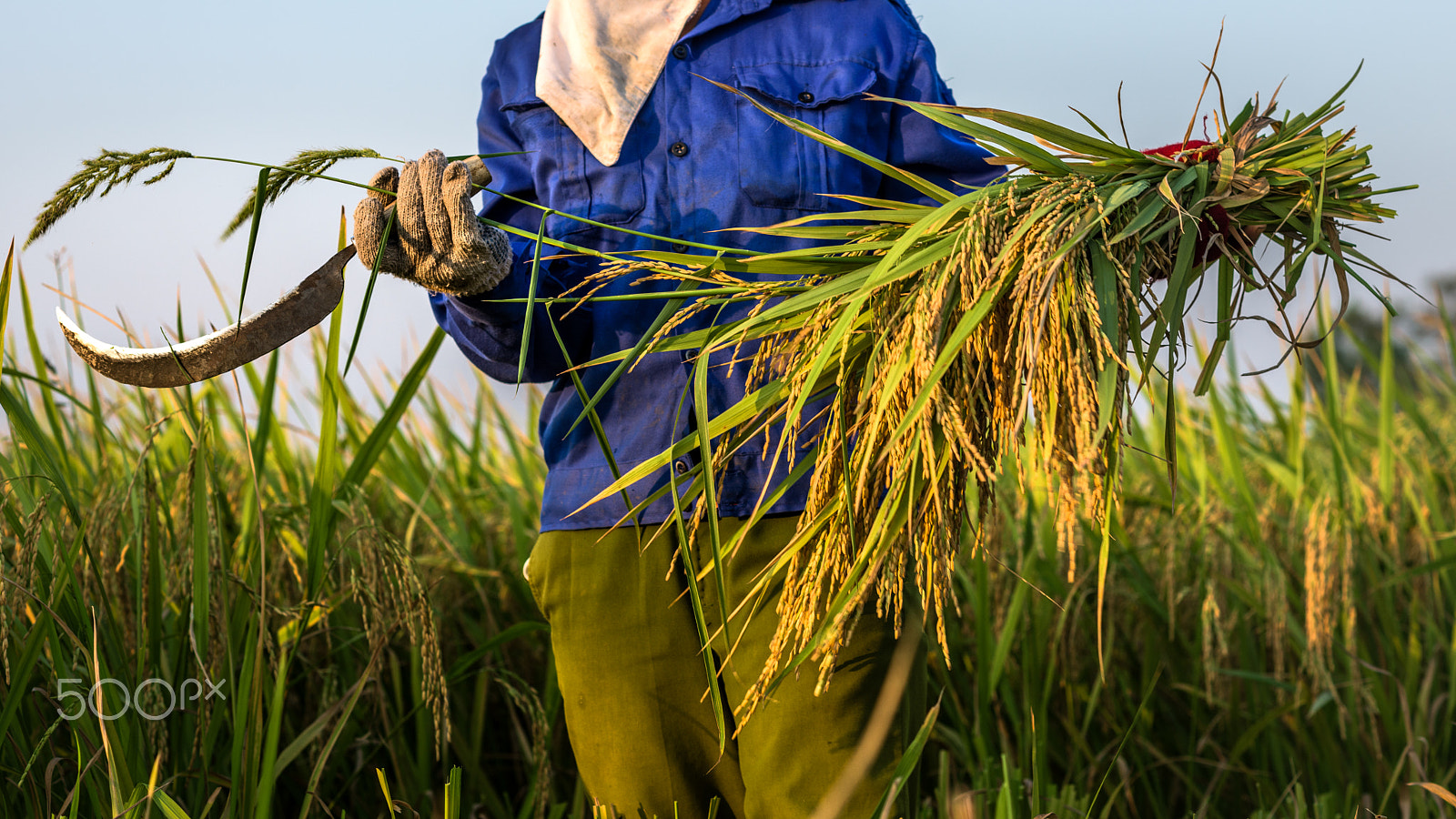 Nikon D810 + Nikon AF Nikkor 105mm F2D DC sample photo. Ninh binh photography