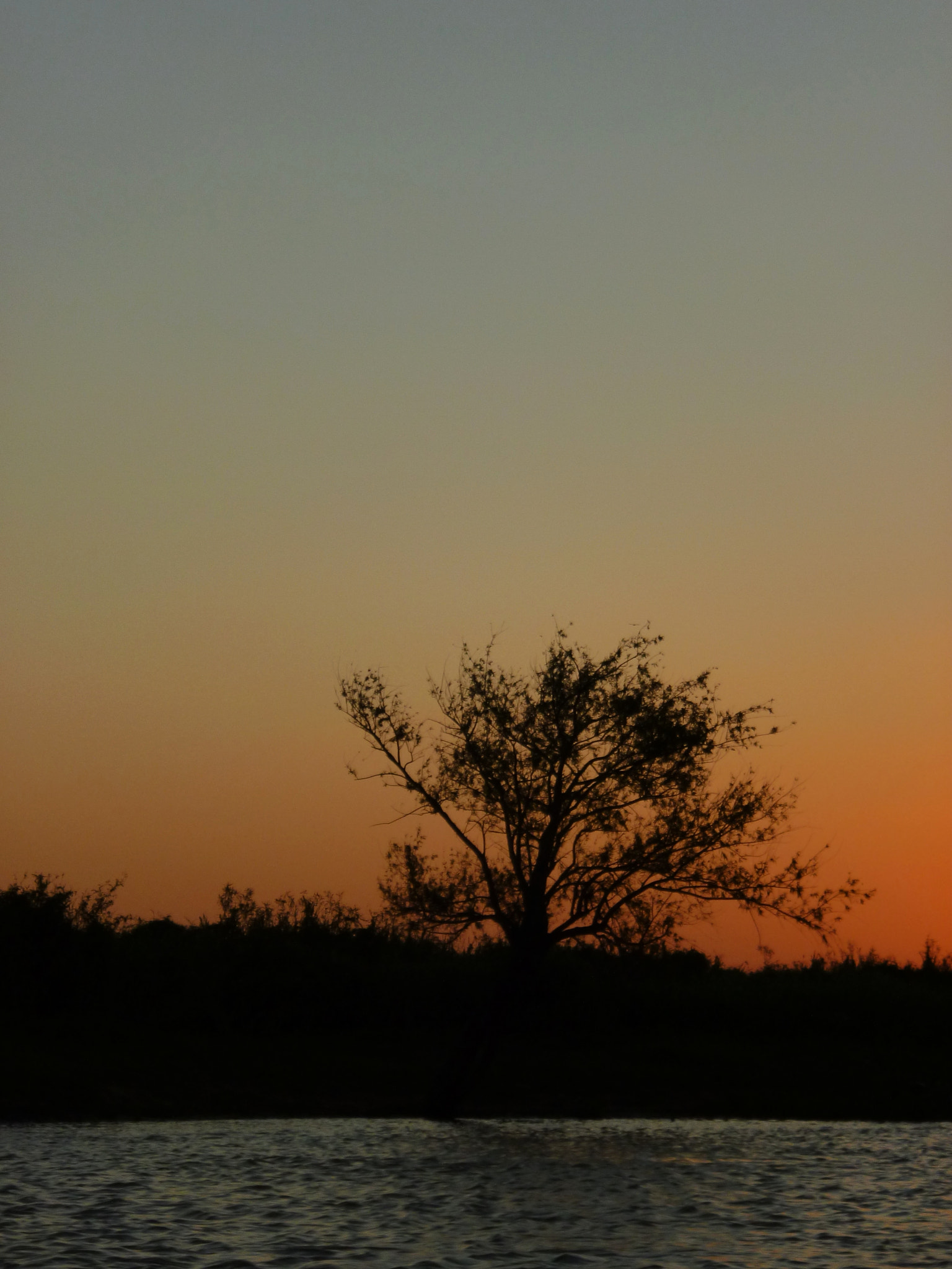 Panasonic Lumix DMC-S1 sample photo. "caricia del ocaso" coronda, santa fe feb photography
