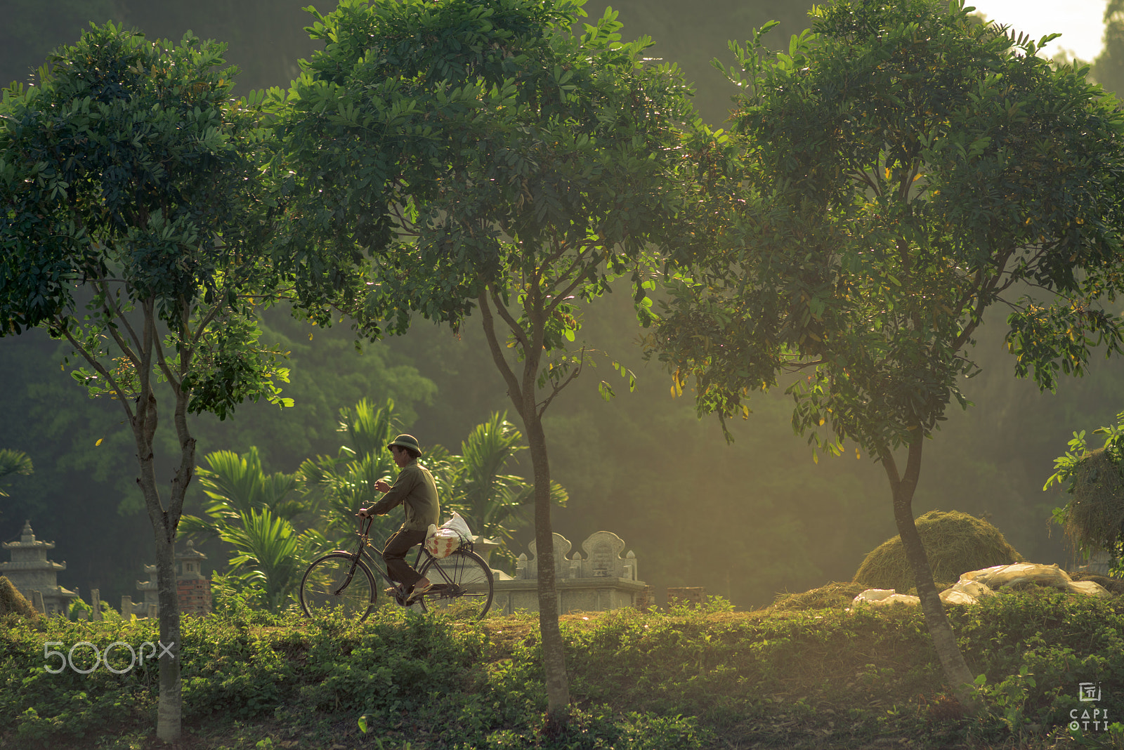 Nikon D810 + AF Nikkor 180mm f/2.8 IF-ED sample photo. Ninh binh photography