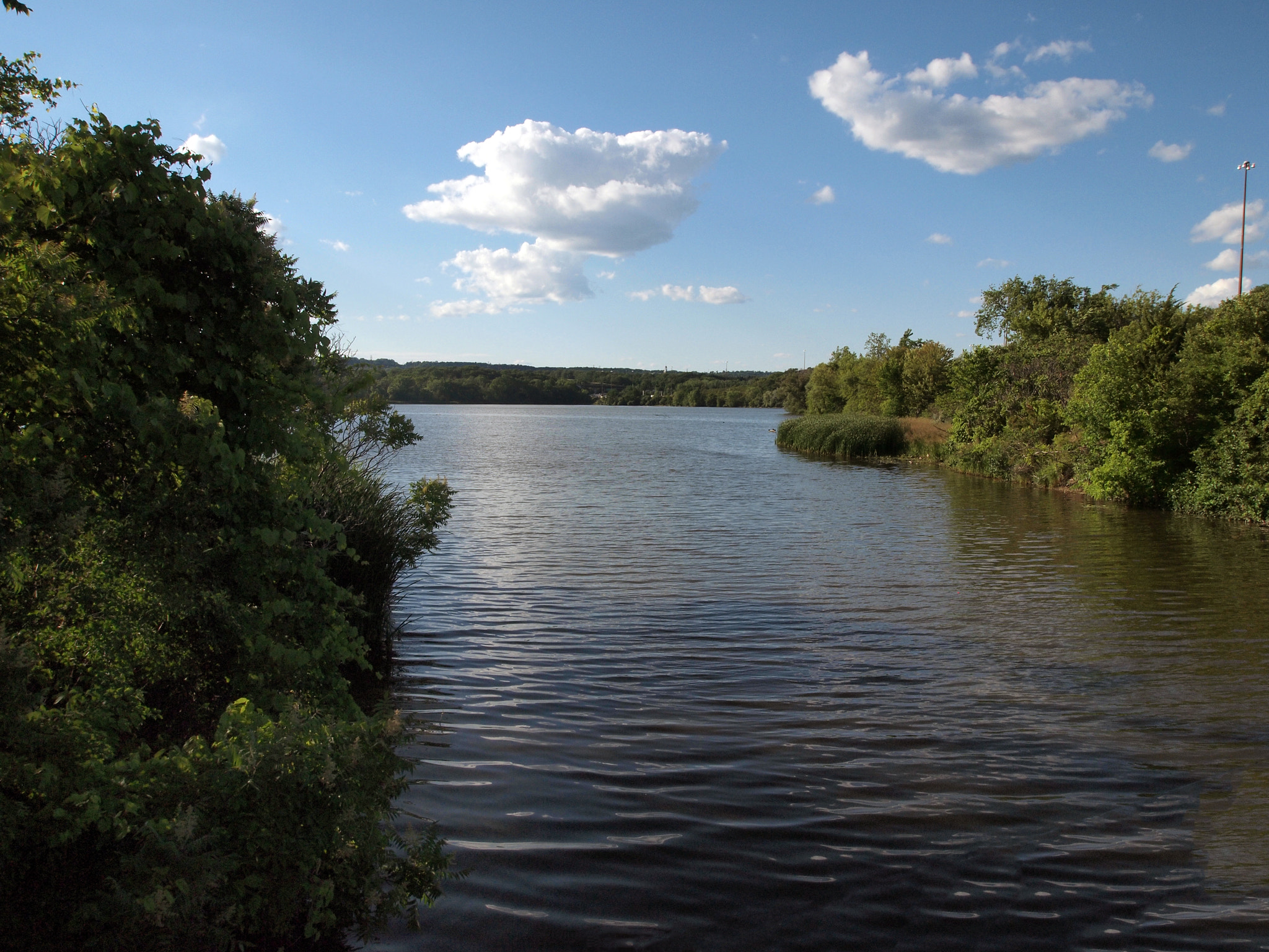 Olympus PEN E-P1 sample photo. Cootes photography