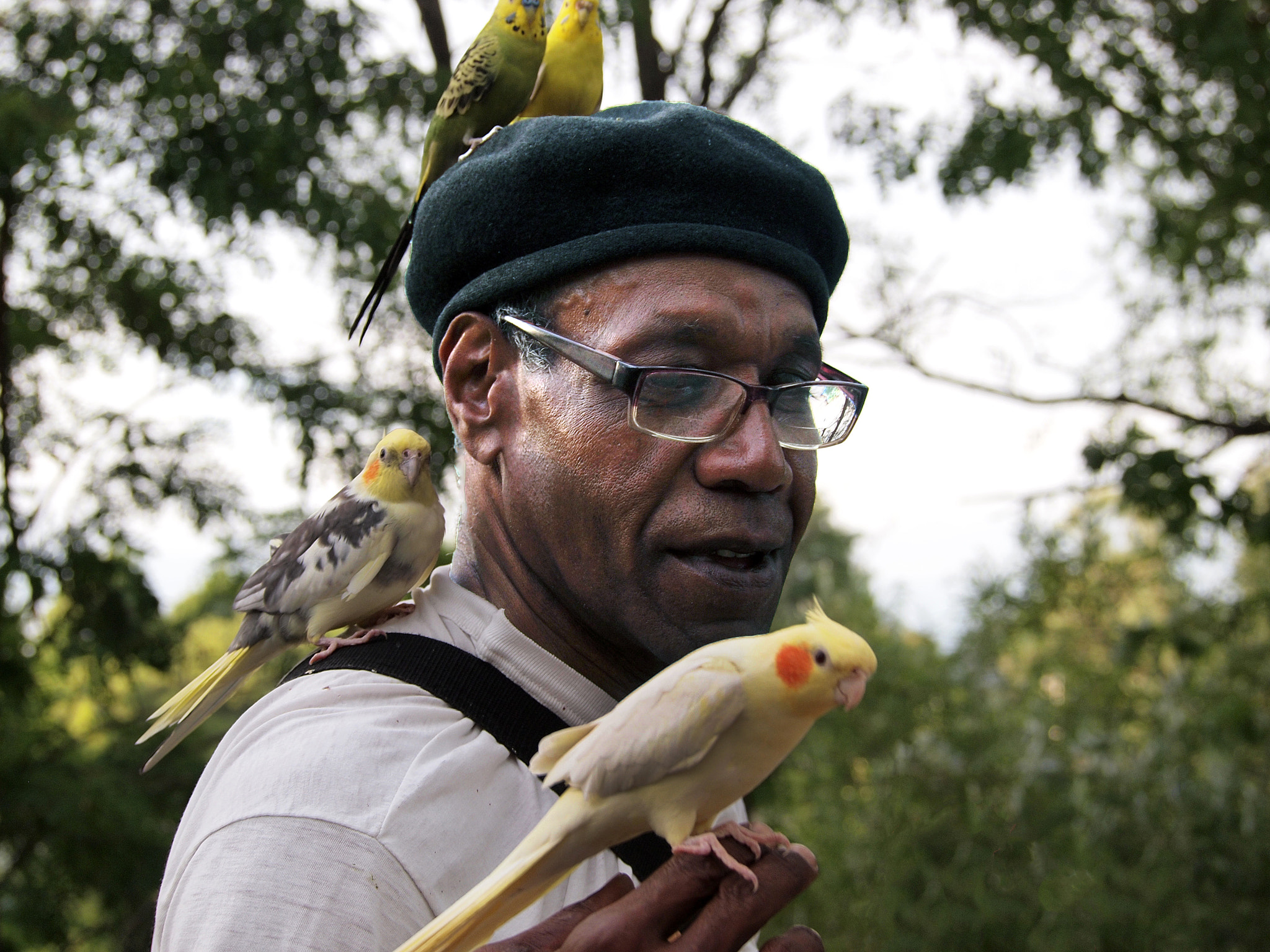 Olympus PEN E-P1 sample photo. Man with birds photography