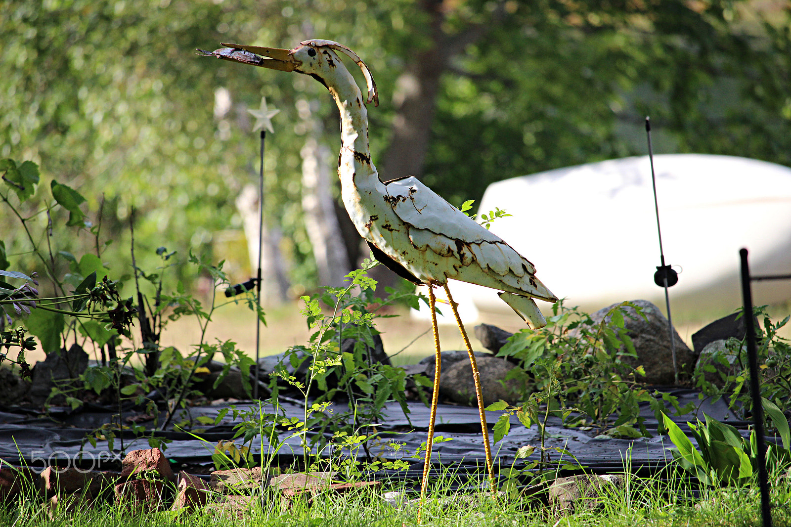 Canon EOS 600D (Rebel EOS T3i / EOS Kiss X5) + 55.0 - 250.0 mm sample photo. Crane art photography