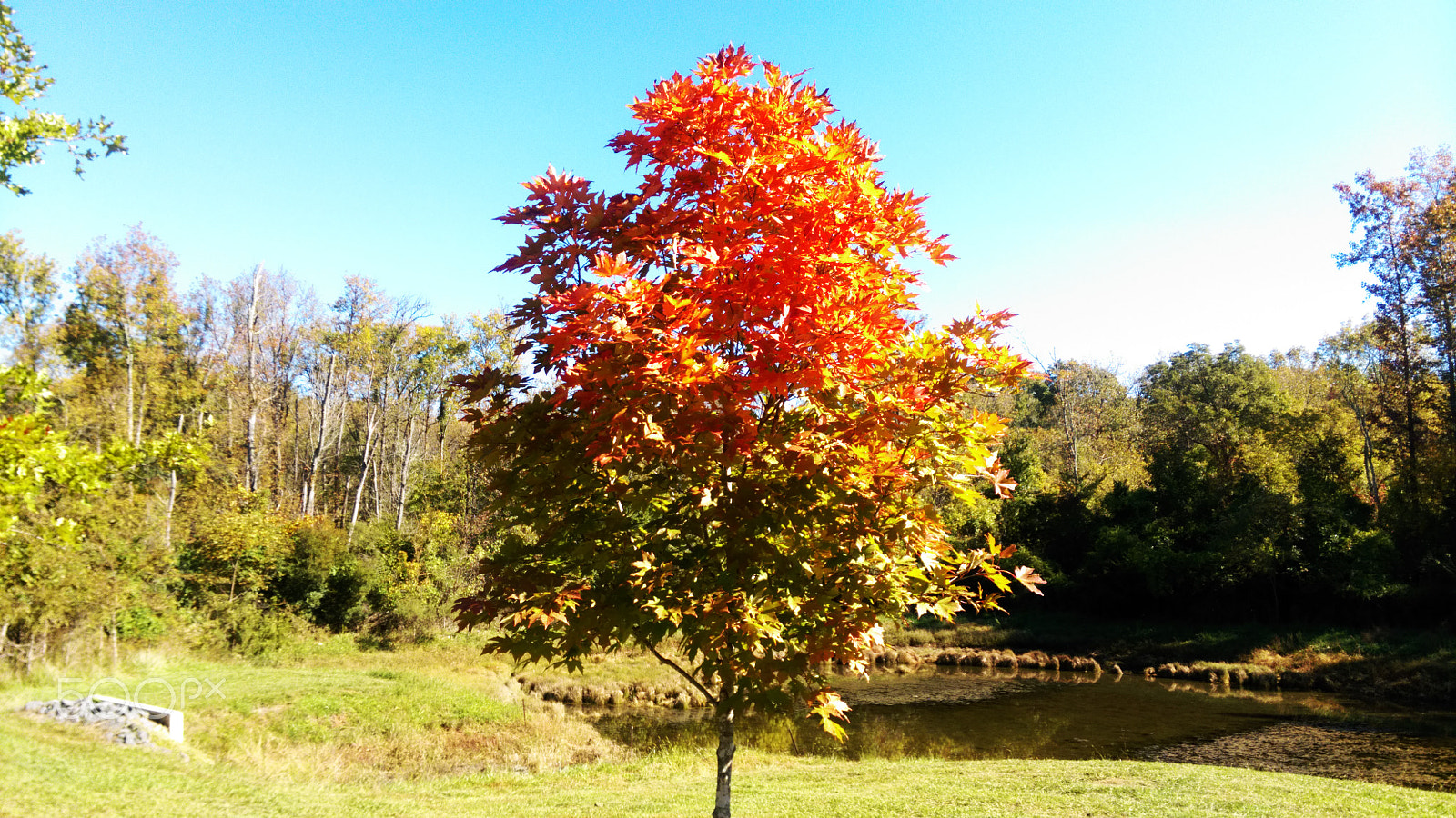 HTC ONE (M8 EYE) sample photo. Imag2831.jpg photography