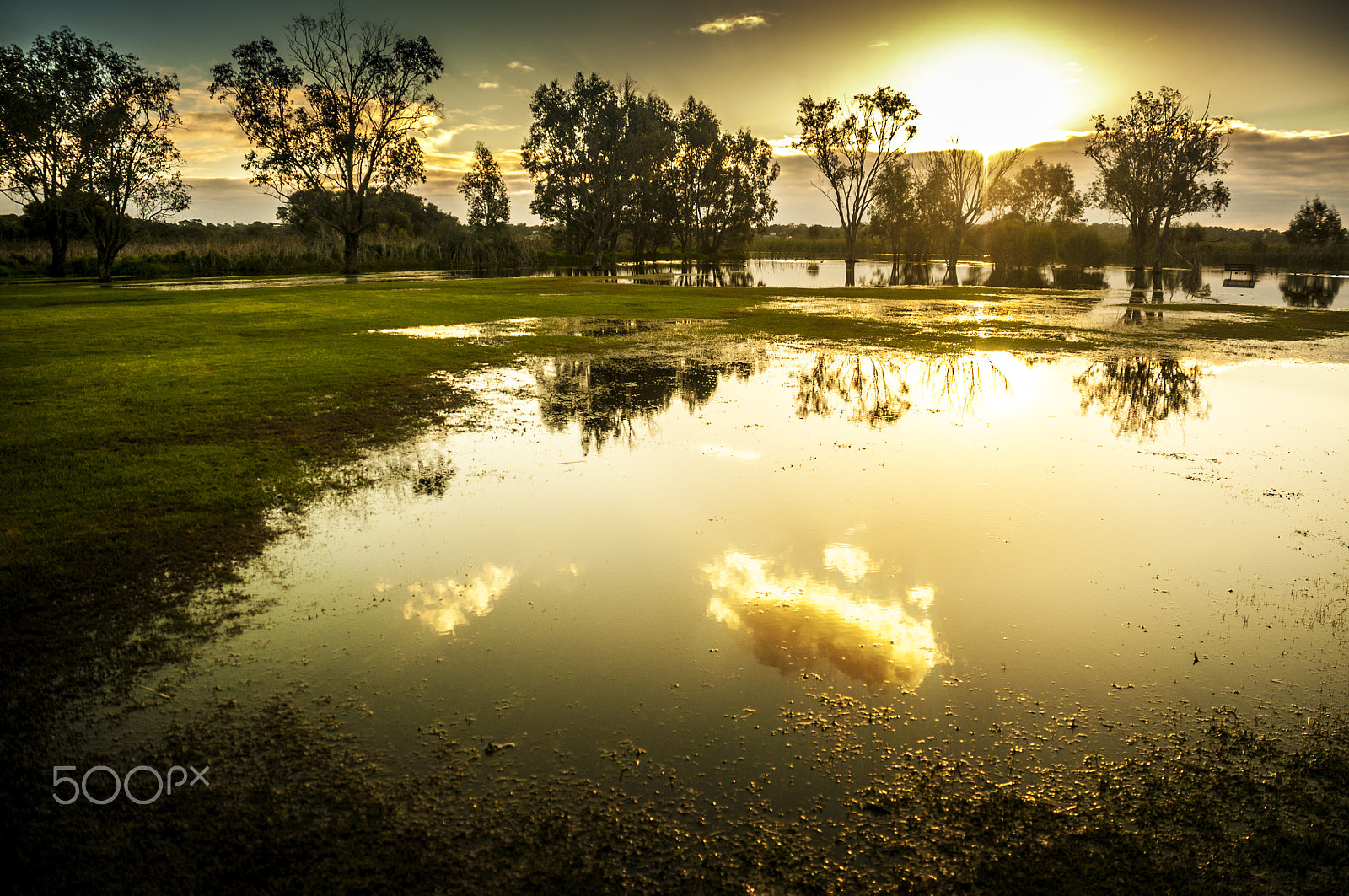 Nikon D300S sample photo. Park photography