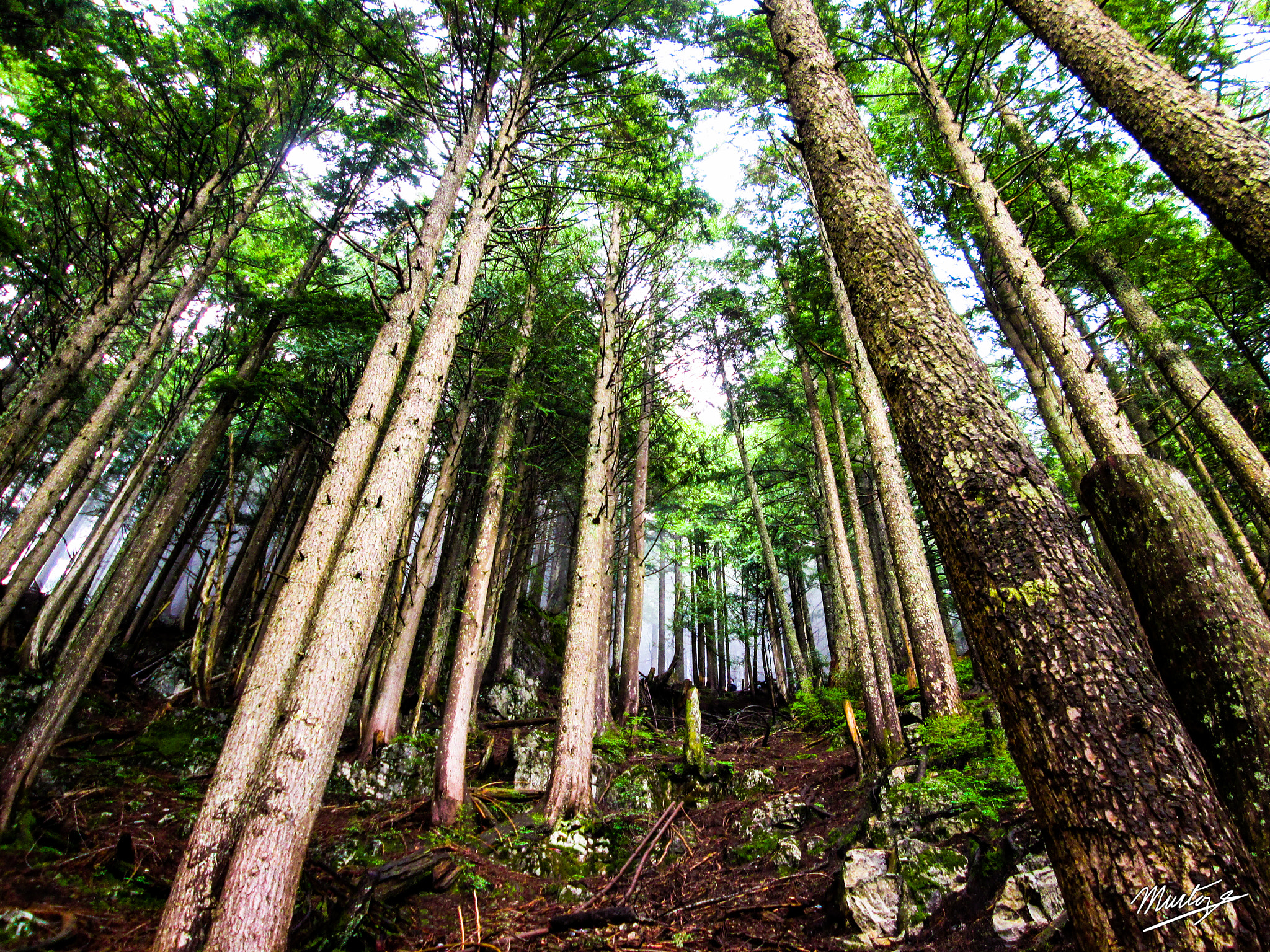 Canon PowerShot A3400 IS sample photo. Grouse grind photography