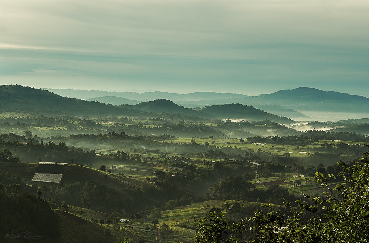 Sony a7 II + E 60mm F2.8 sample photo. 28475820831.jpg photography