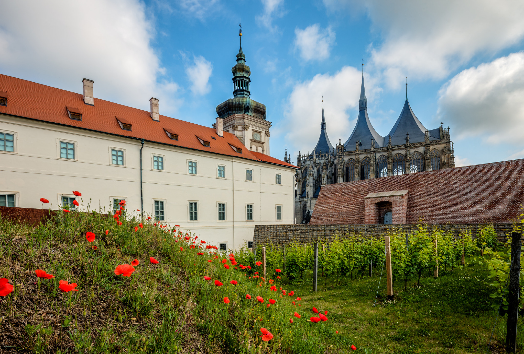 Canon TS-E 17mm F4L Tilt-Shift sample photo. St barbara church photography