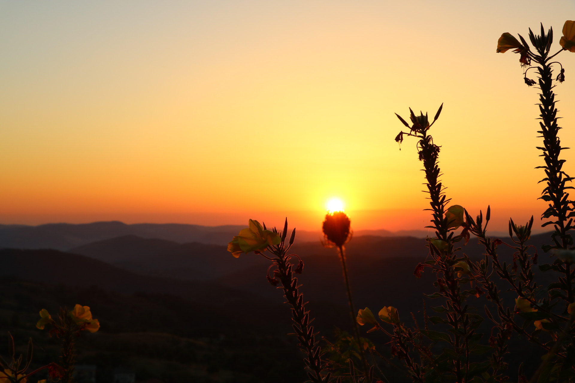 Canon EOS 750D (EOS Rebel T6i / EOS Kiss X8i) sample photo. Sunrise  photography