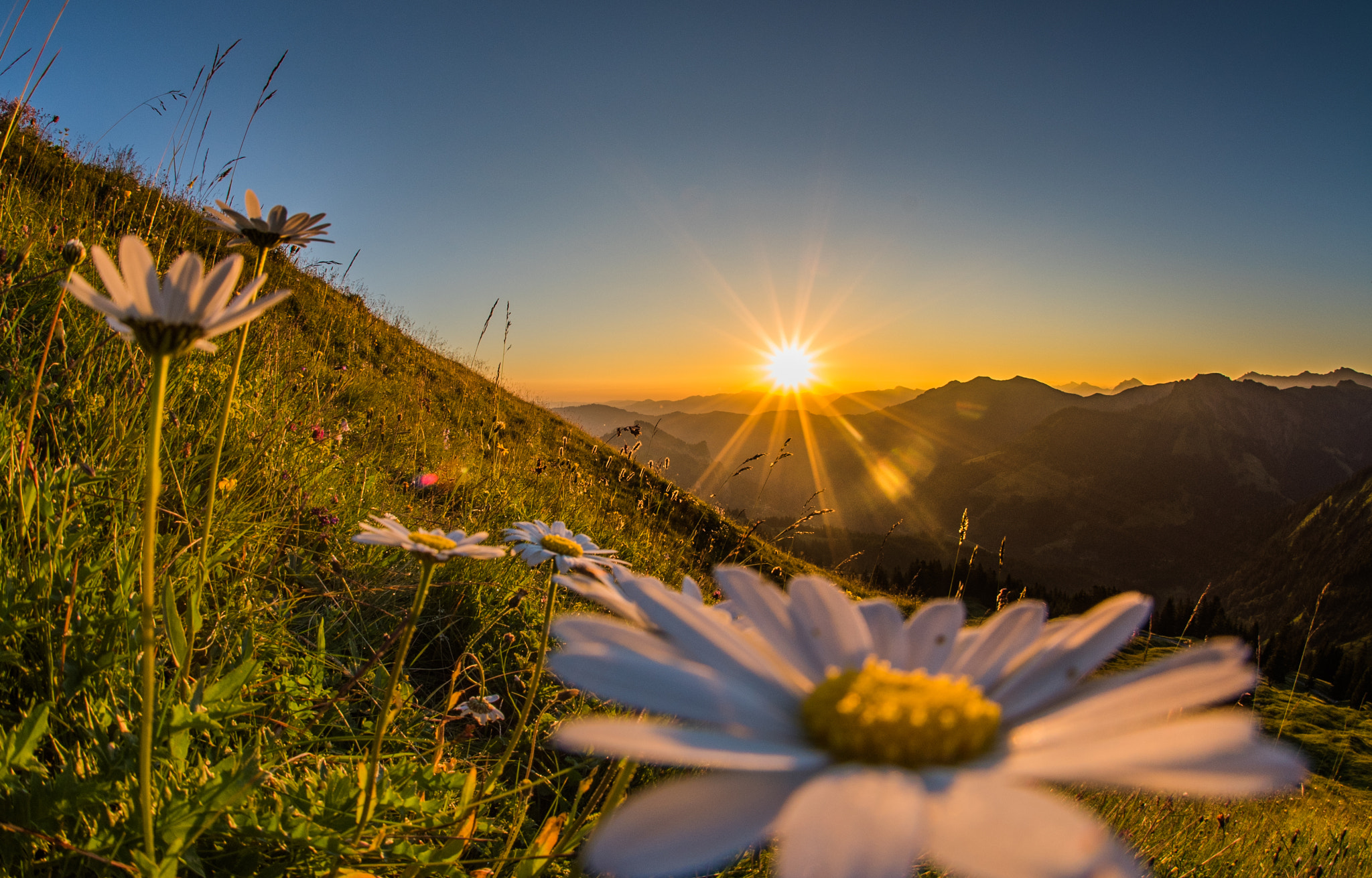 Nikon D750 + Sigma 10mm F2.8 EX DC HSM Diagonal Fisheye sample photo. First light photography