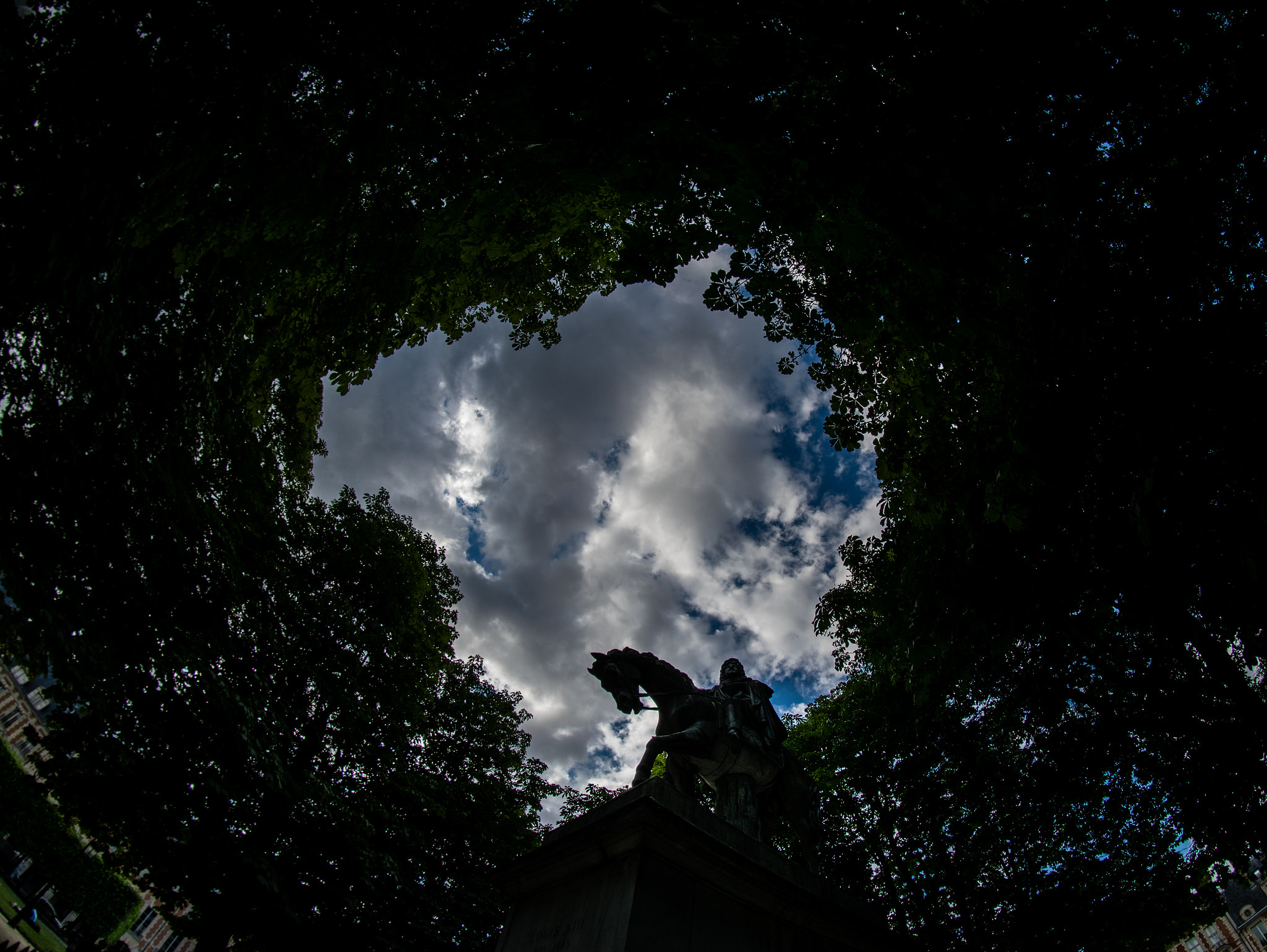 Nikon D3300 + Samyang 8mm F3.5 Aspherical IF MC Fisheye sample photo. Is the storm coming? photography