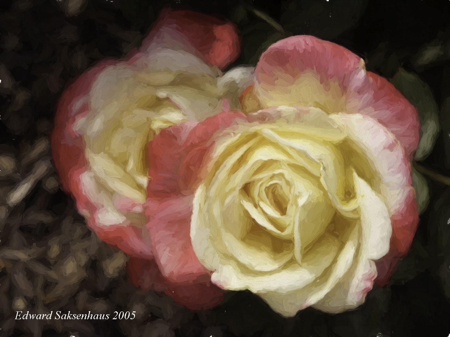 KONICA MINOLTA DiMAGE 7 sample photo. Beautiful pair of roses photography