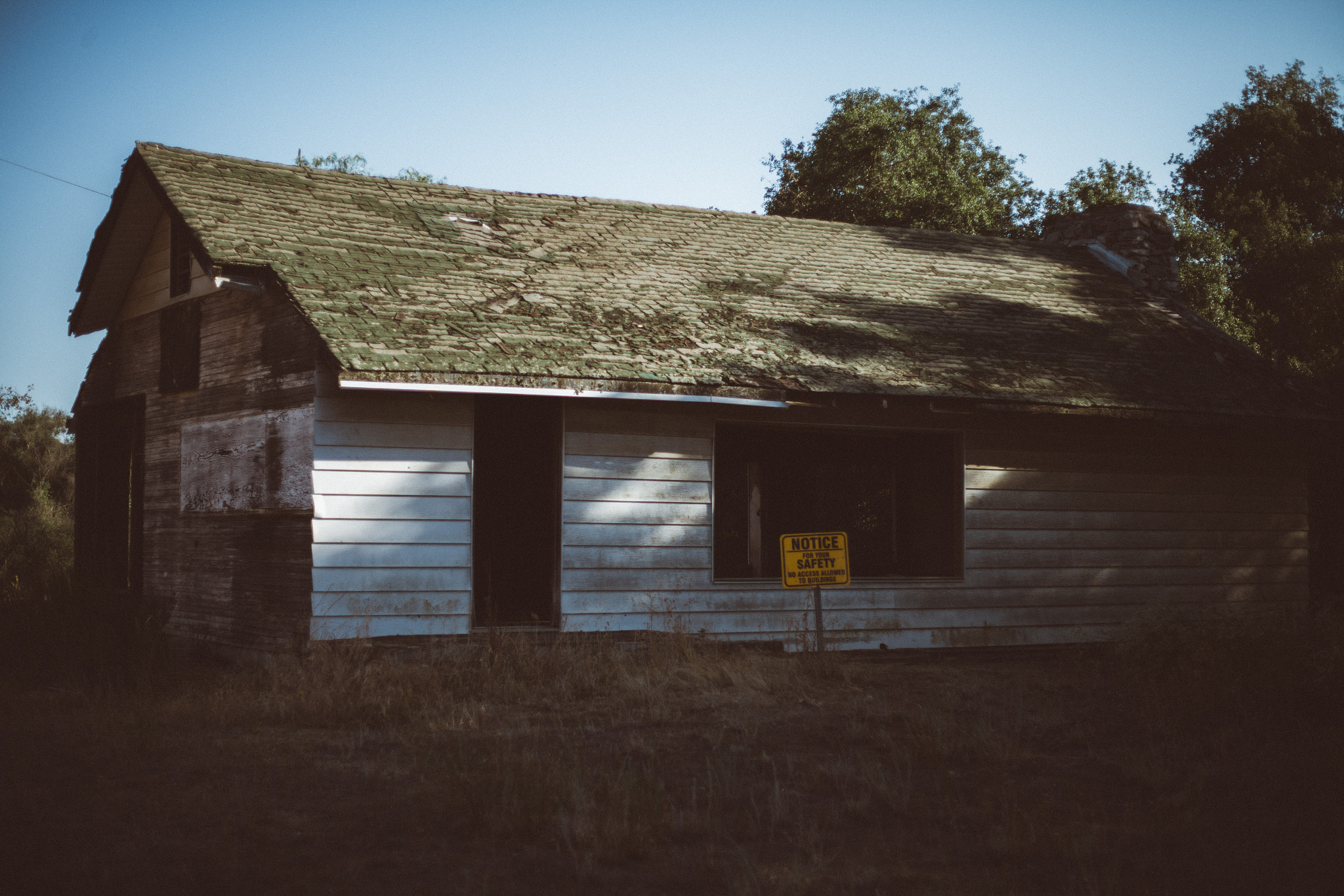 Canon EOS-1Ds Mark II + Canon EF 50mm F1.8 II sample photo. Abandoned and alone. photography