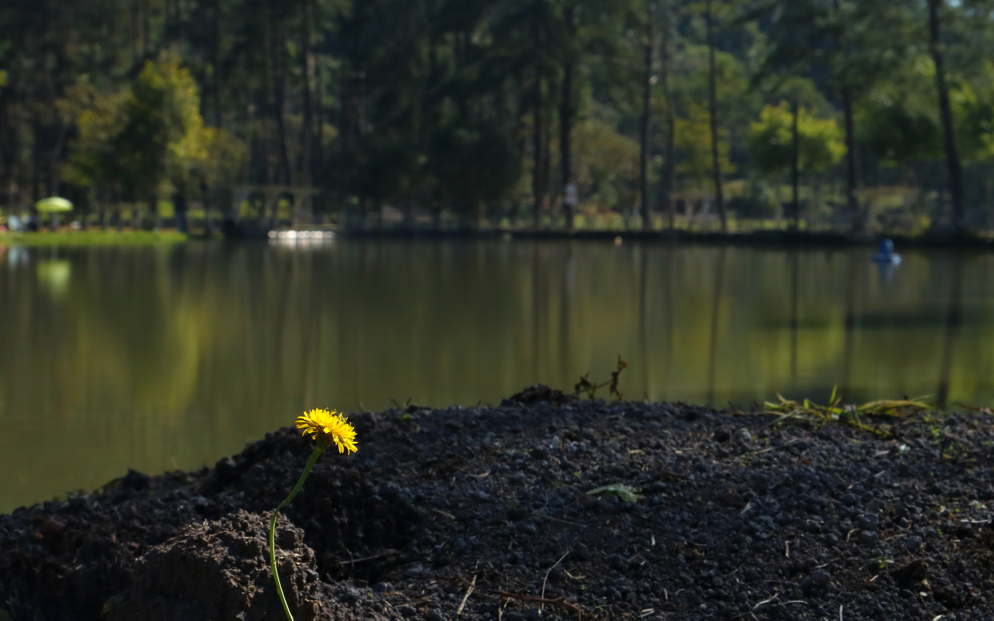Canon EOS 750D (EOS Rebel T6i / EOS Kiss X8i) sample photo. Pesqueiro kobayashi photography