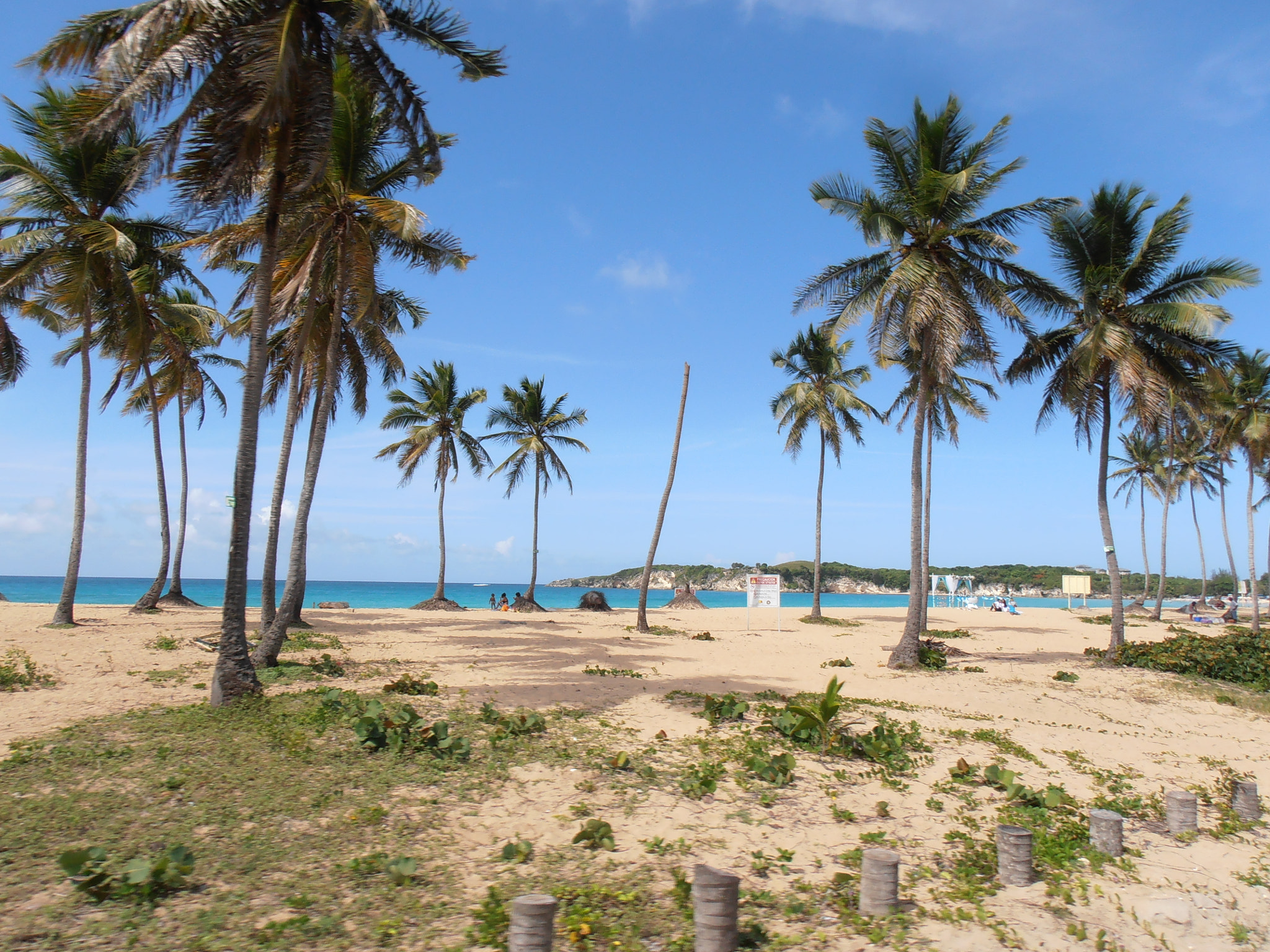Olympus VR310,D720 sample photo. Punta cana - bahia principe - macao beach photography