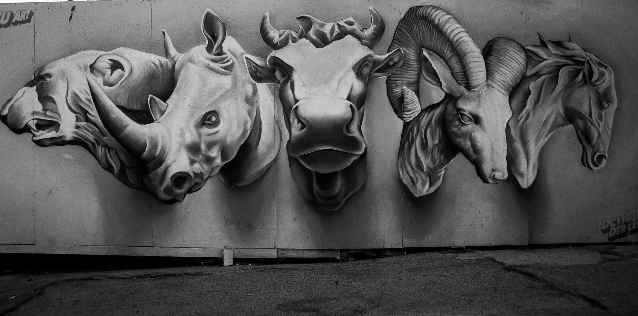 Samsung NX300M + Samsung NX 18-55mm F3.5-5.6 OIS sample photo. Animal farm photography