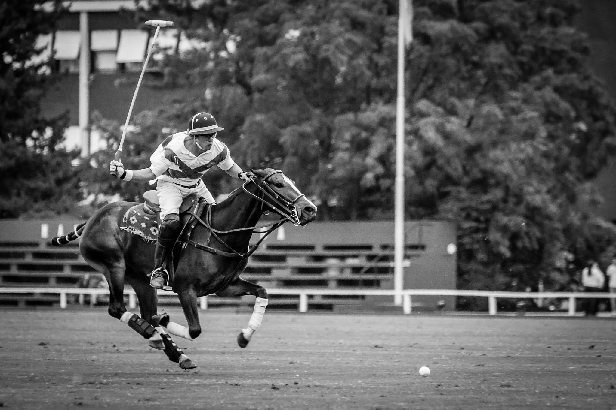 Canon EF 70-200mm F2.8L IS USM sample photo. Polo photography