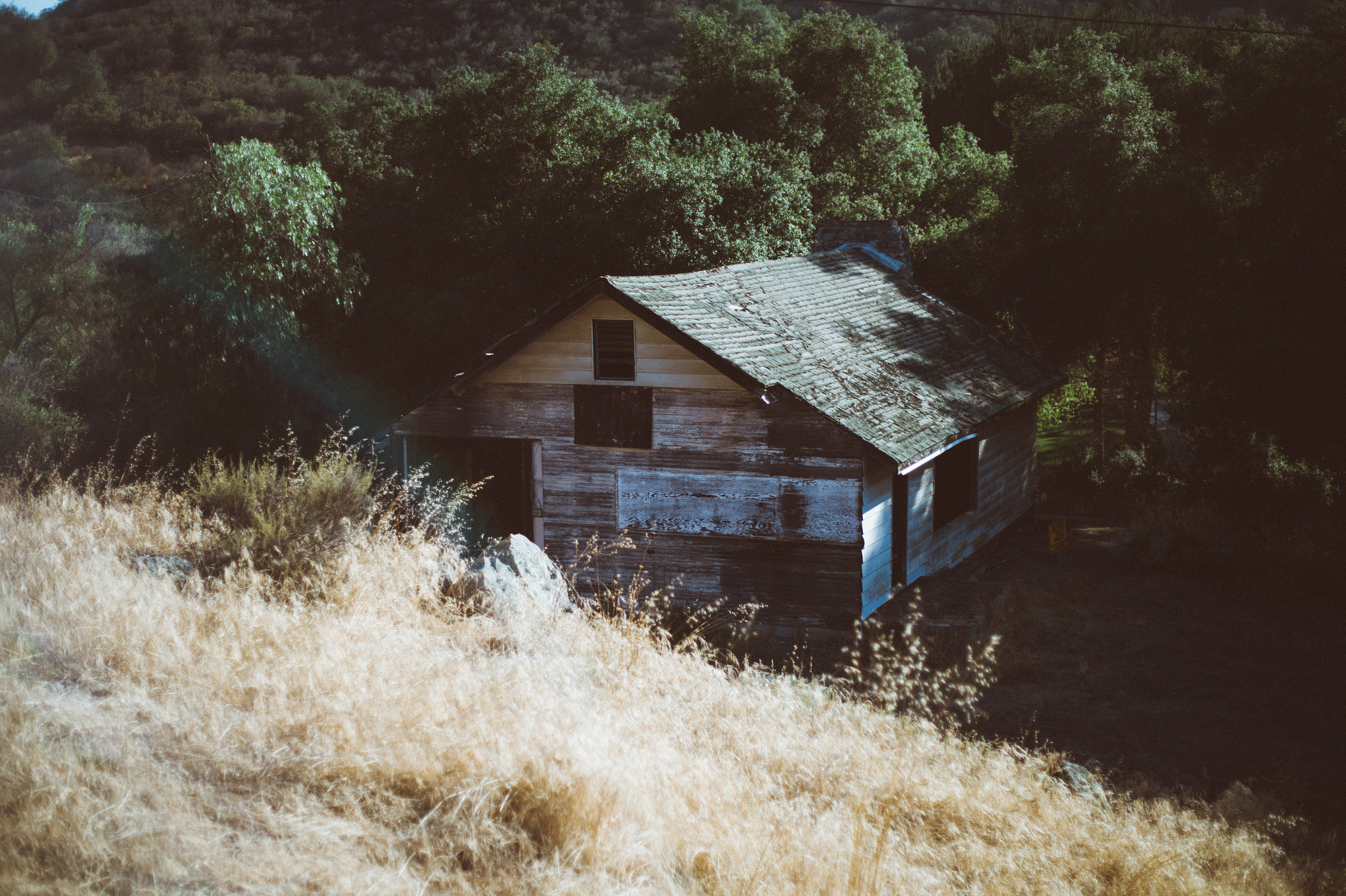 Canon EOS-1Ds Mark II + Canon EF 50mm F1.8 II sample photo. Daley ranch photography