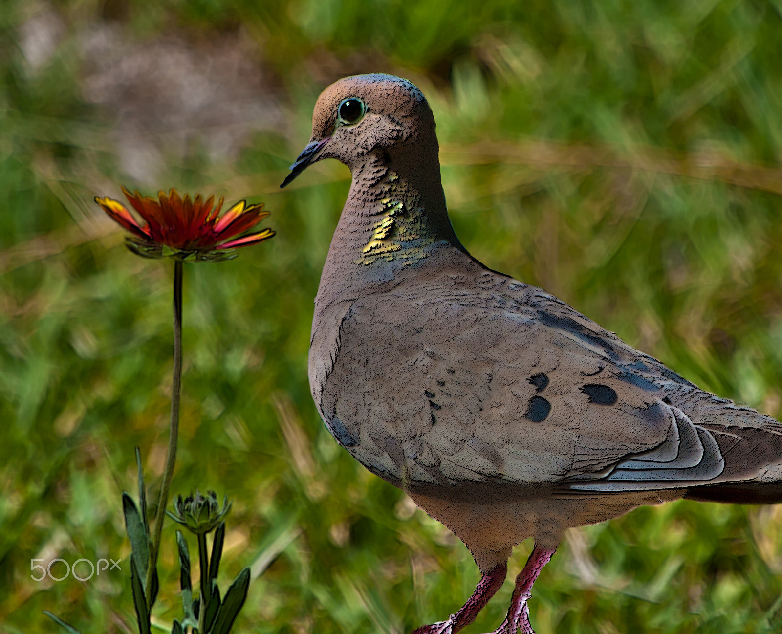 Nikon D80 sample photo. Just passing through photography