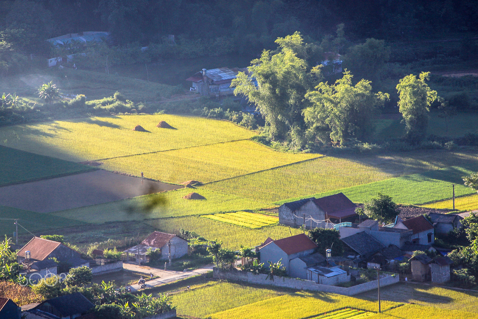 Canon EOS 500D (EOS Rebel T1i / EOS Kiss X3) sample photo. Small village during harvest season photography