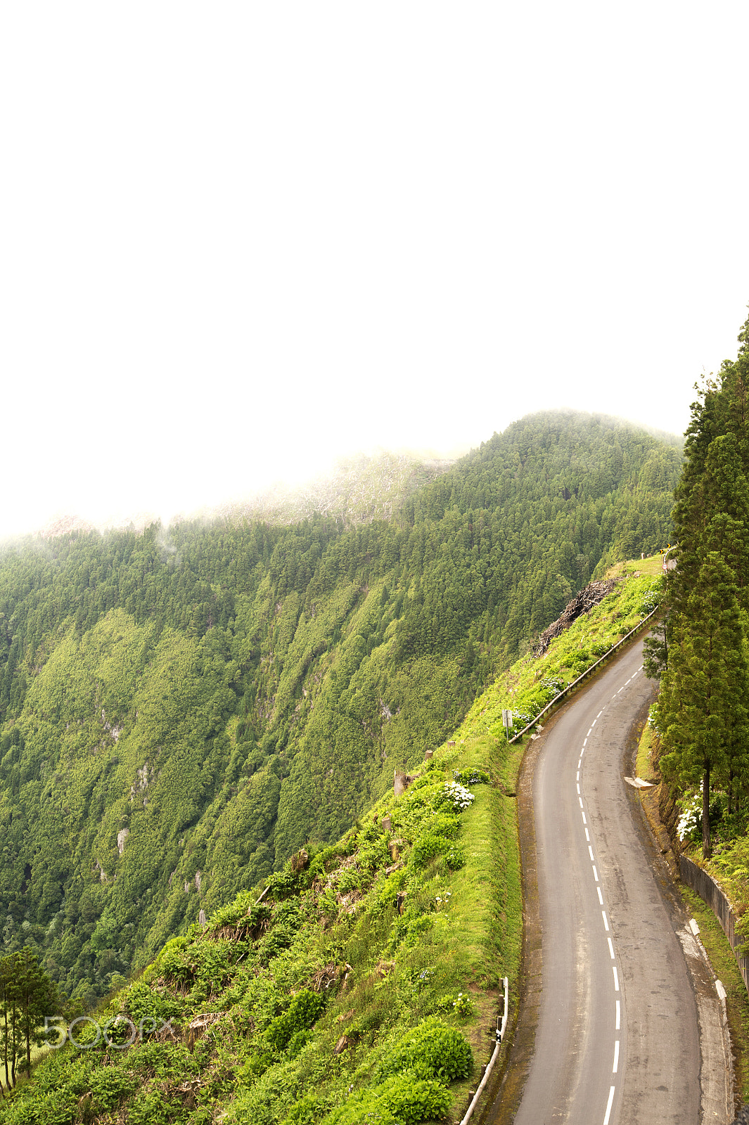 Nikon Df sample photo. Road to somewhere photography