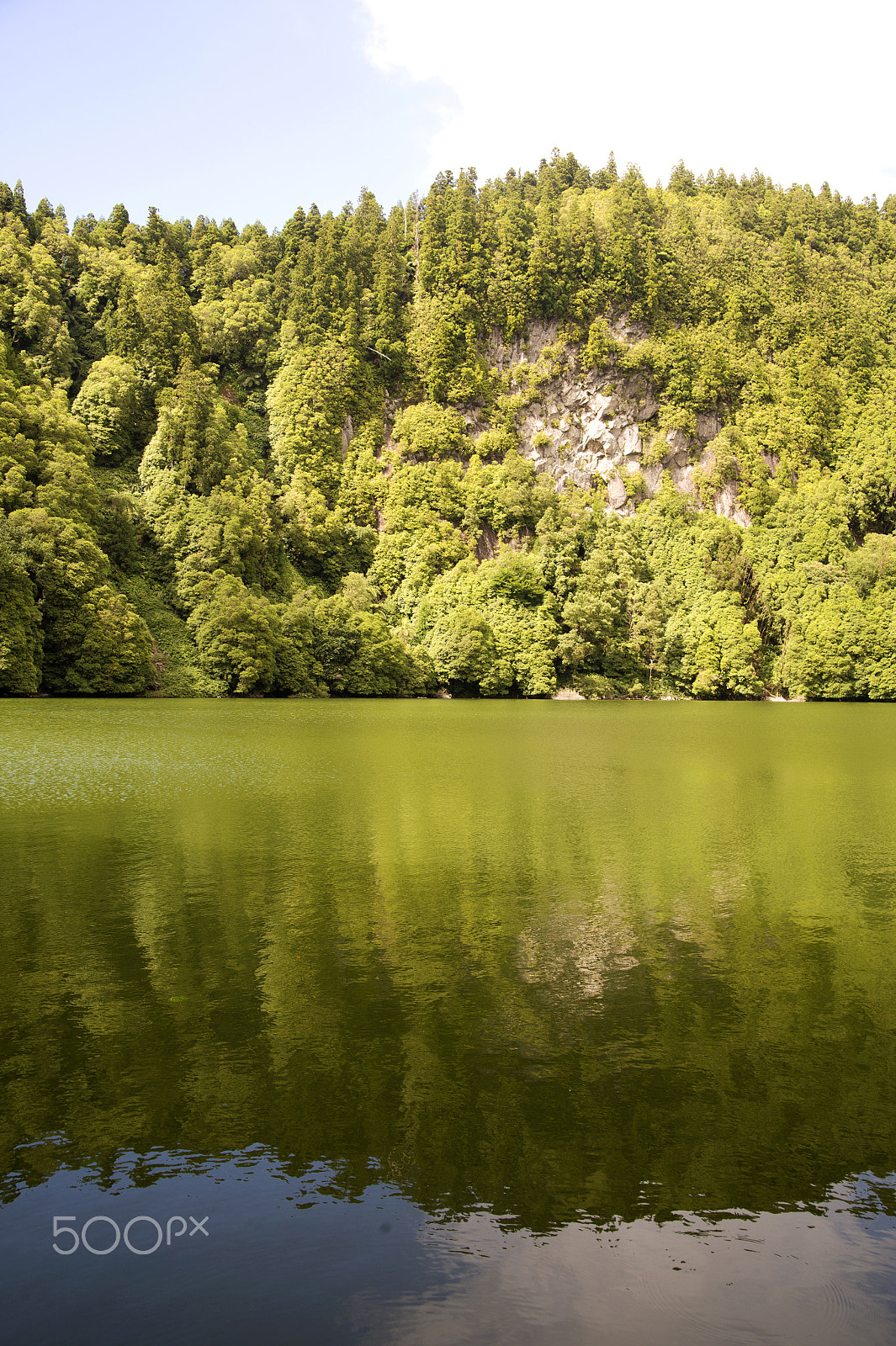 Nikon Df sample photo. Green landscape photography
